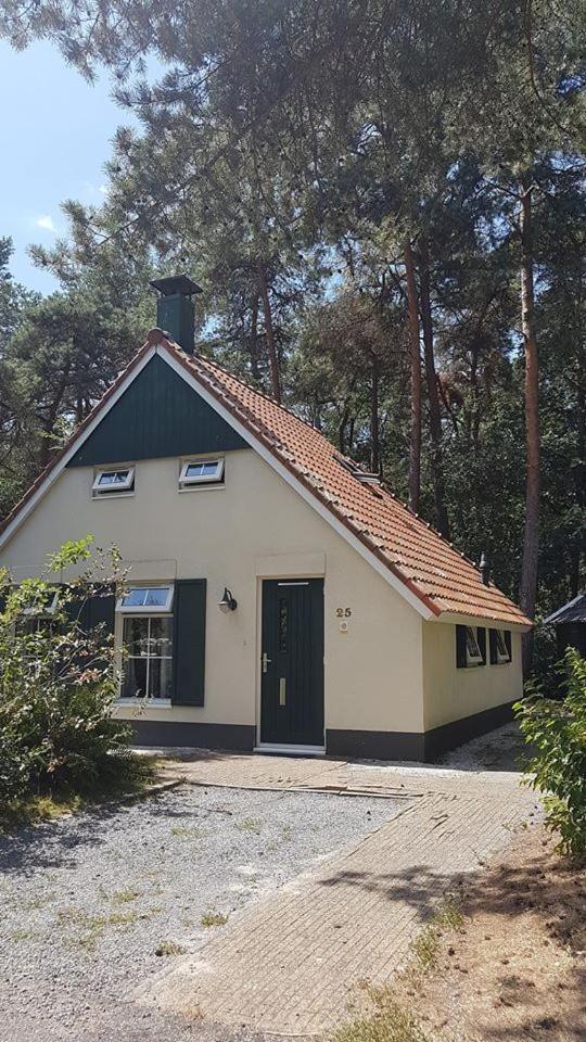 wittebergen25