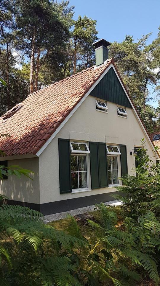 wittebergen25