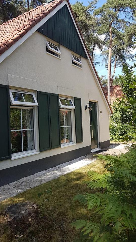 wittebergen25