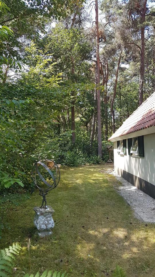 wittebergen25