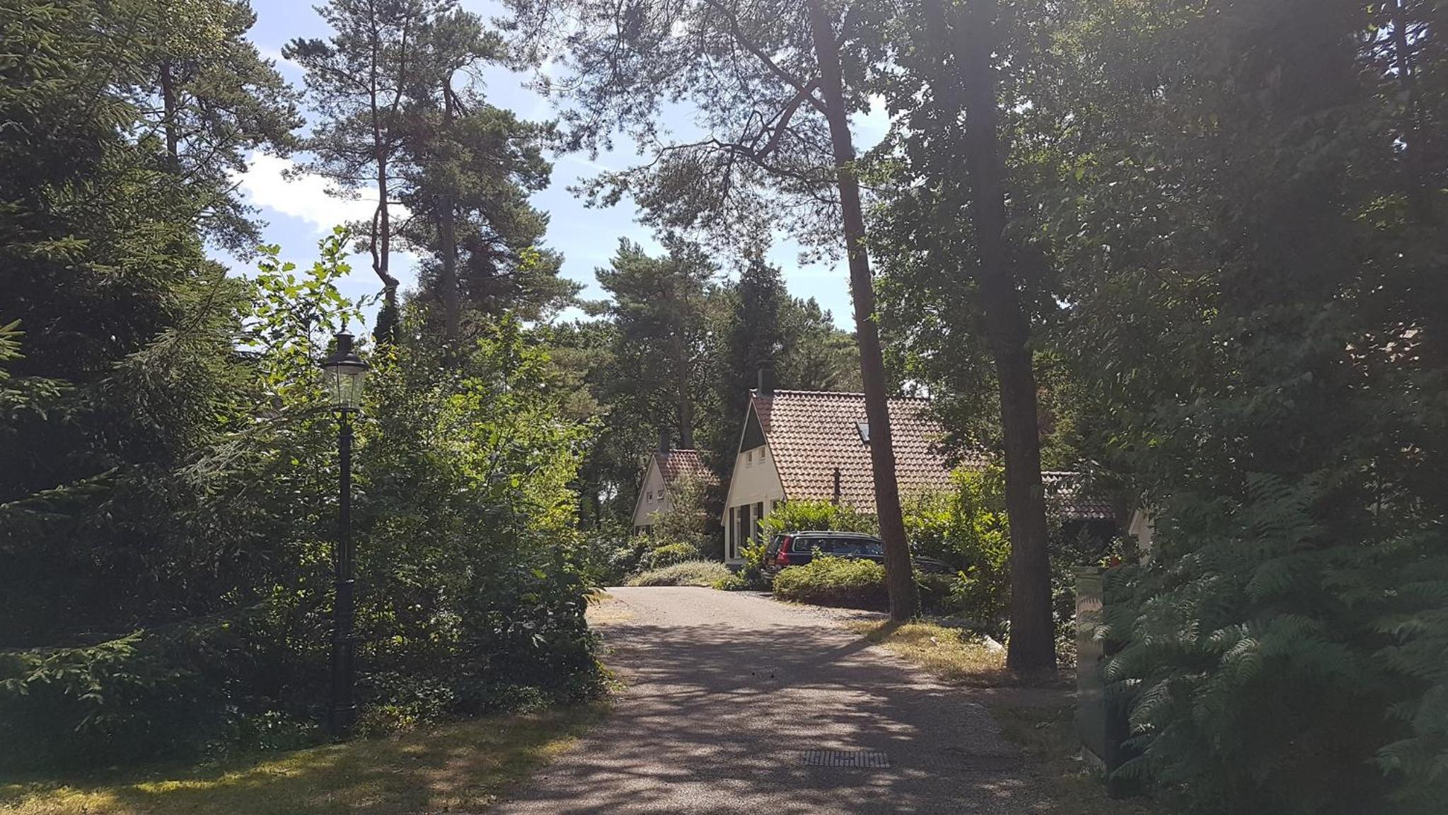wittebergen25