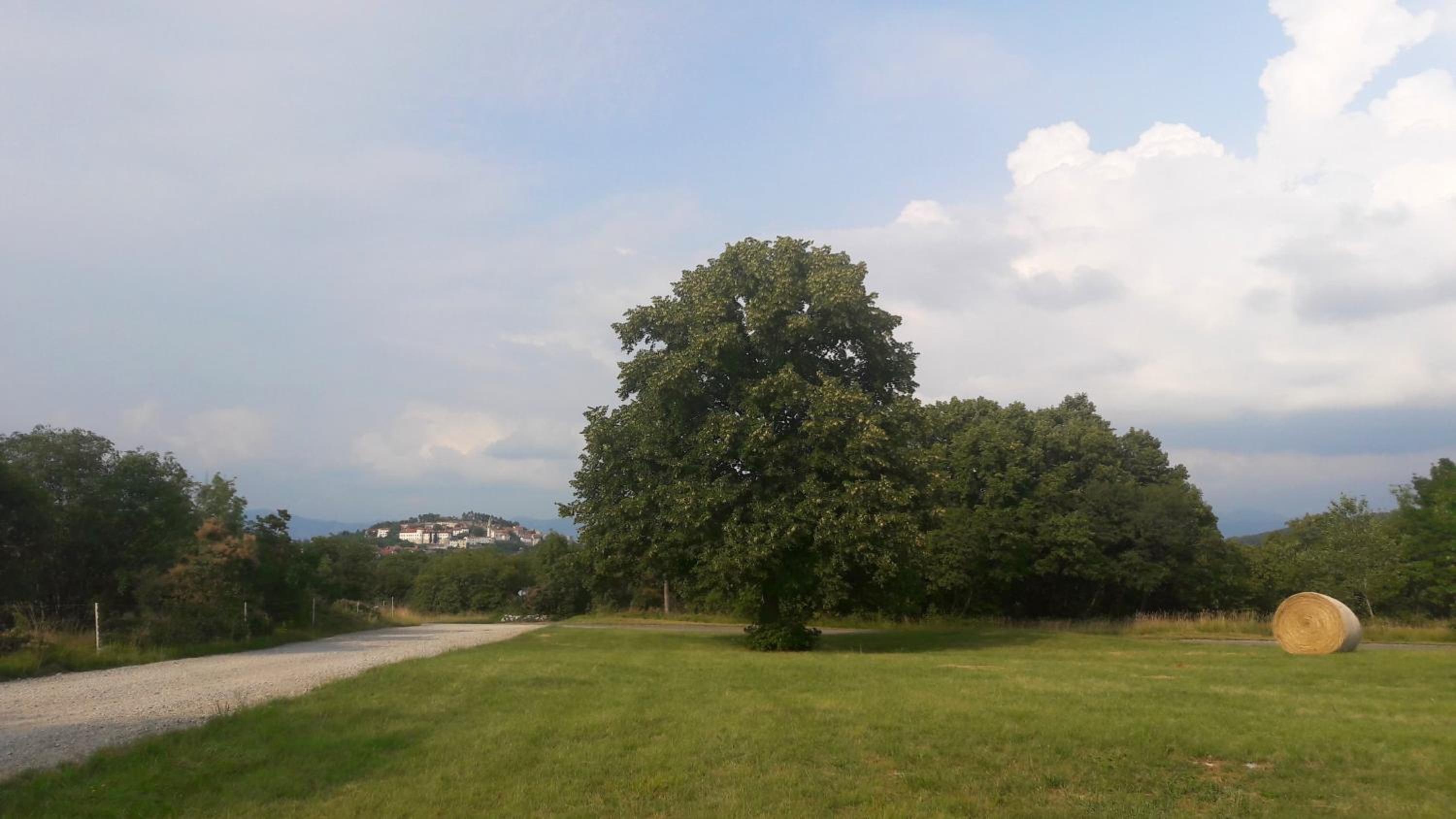 Vila Salamander