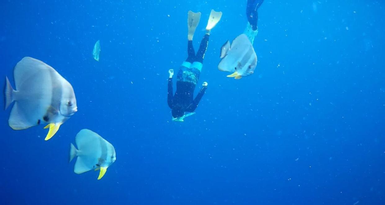 Photo 9