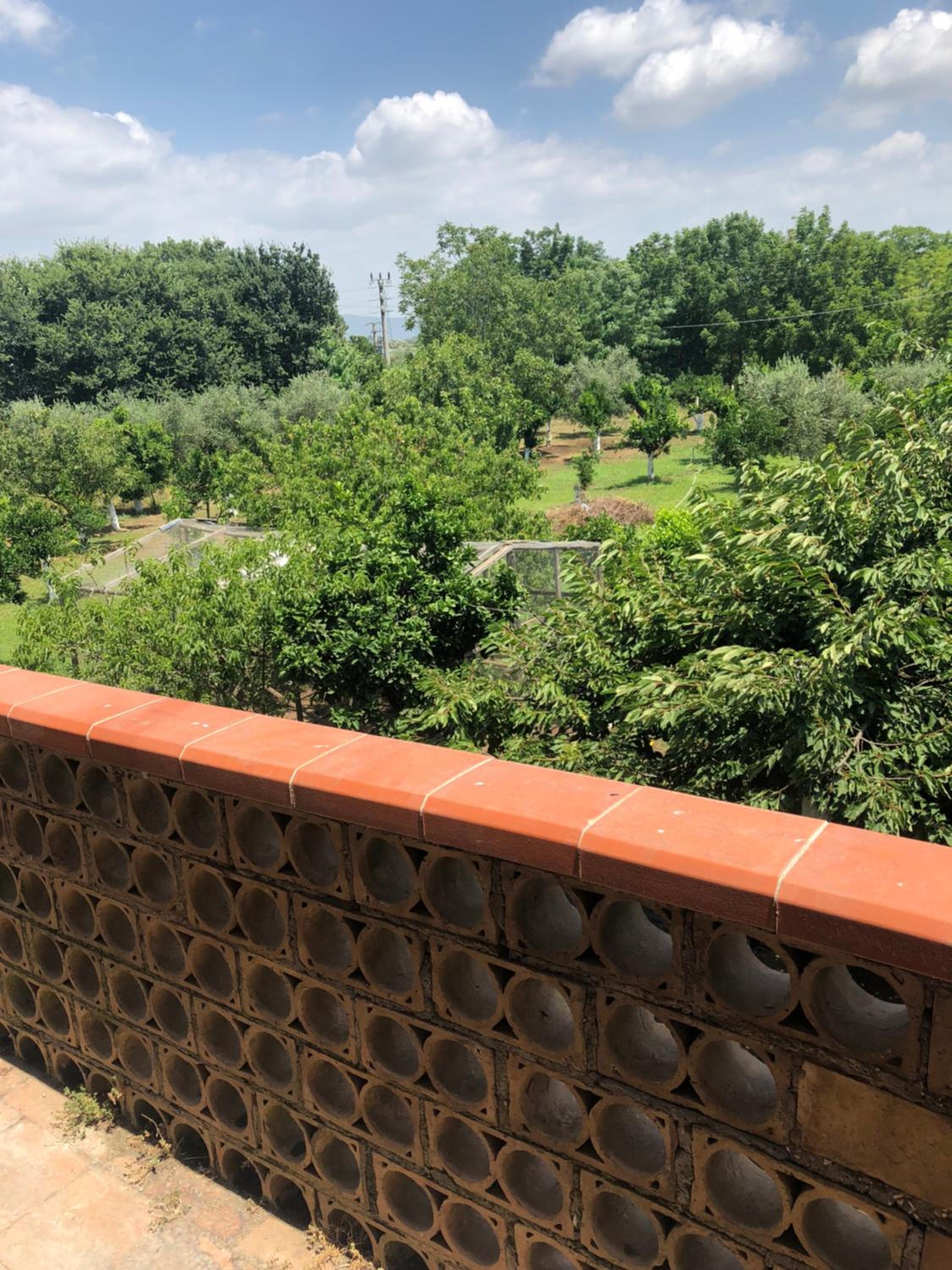 Decri resort, photo 73