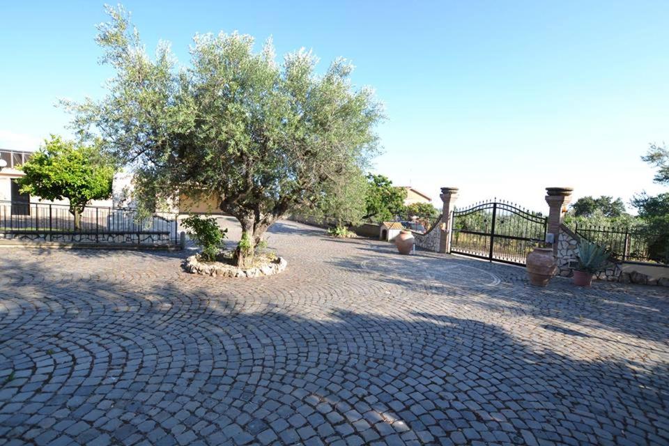 Villa Anna