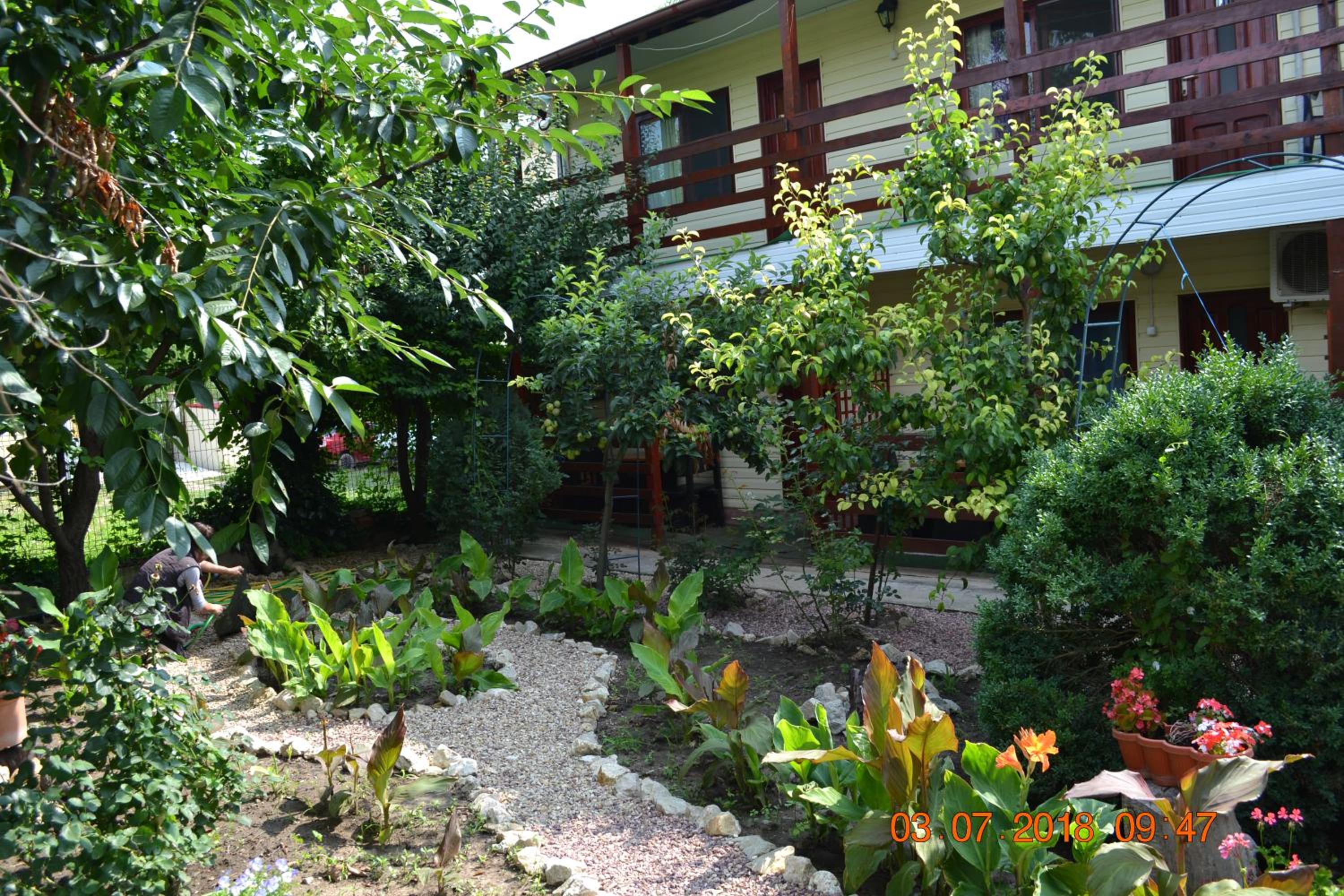 Photo 21