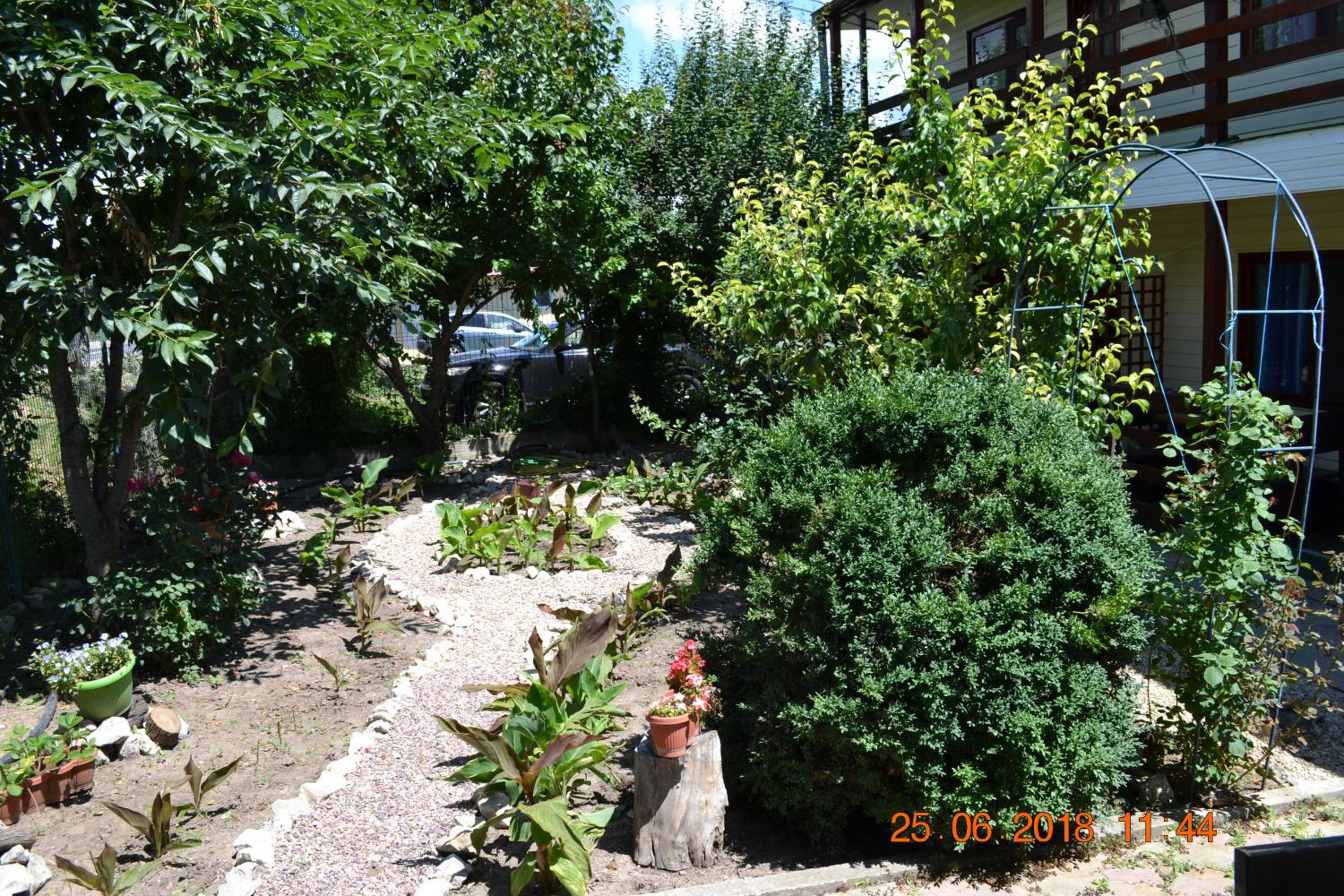 Photo 25