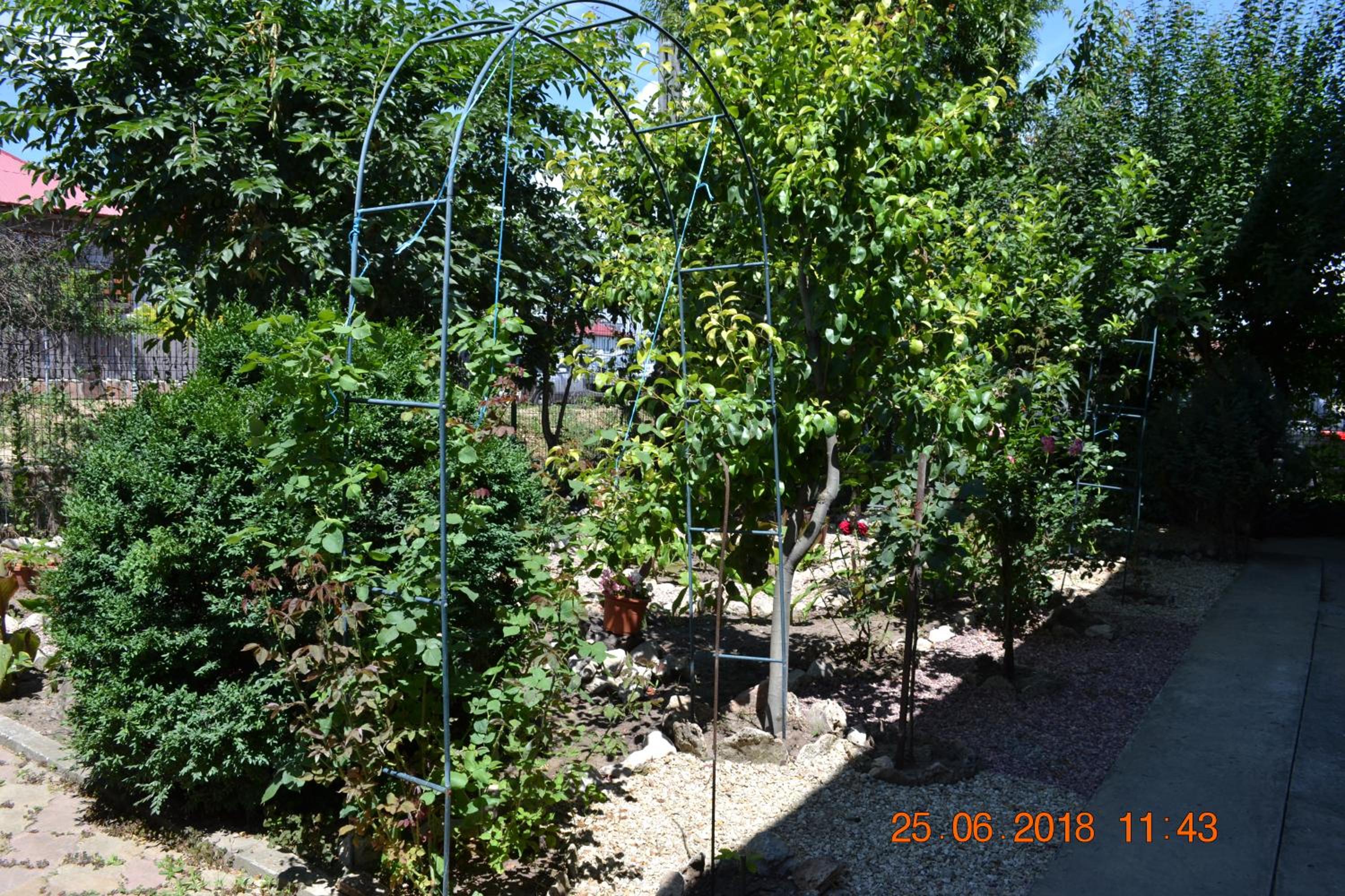 Photo 26