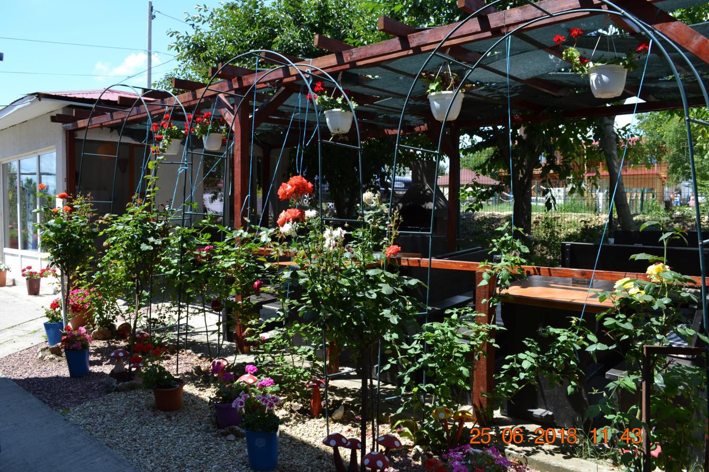 Photo 27