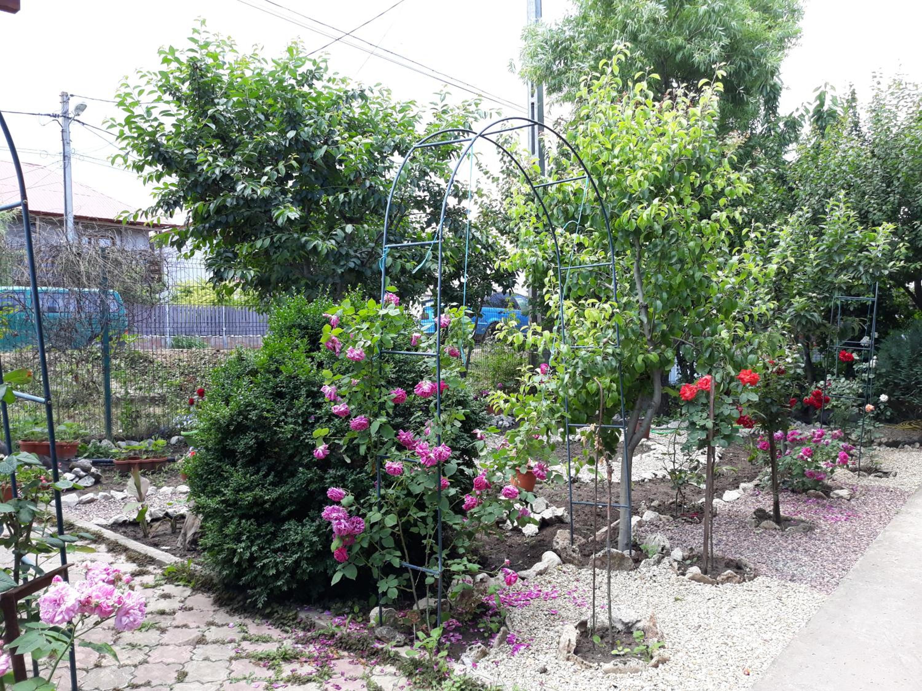 Photo 32