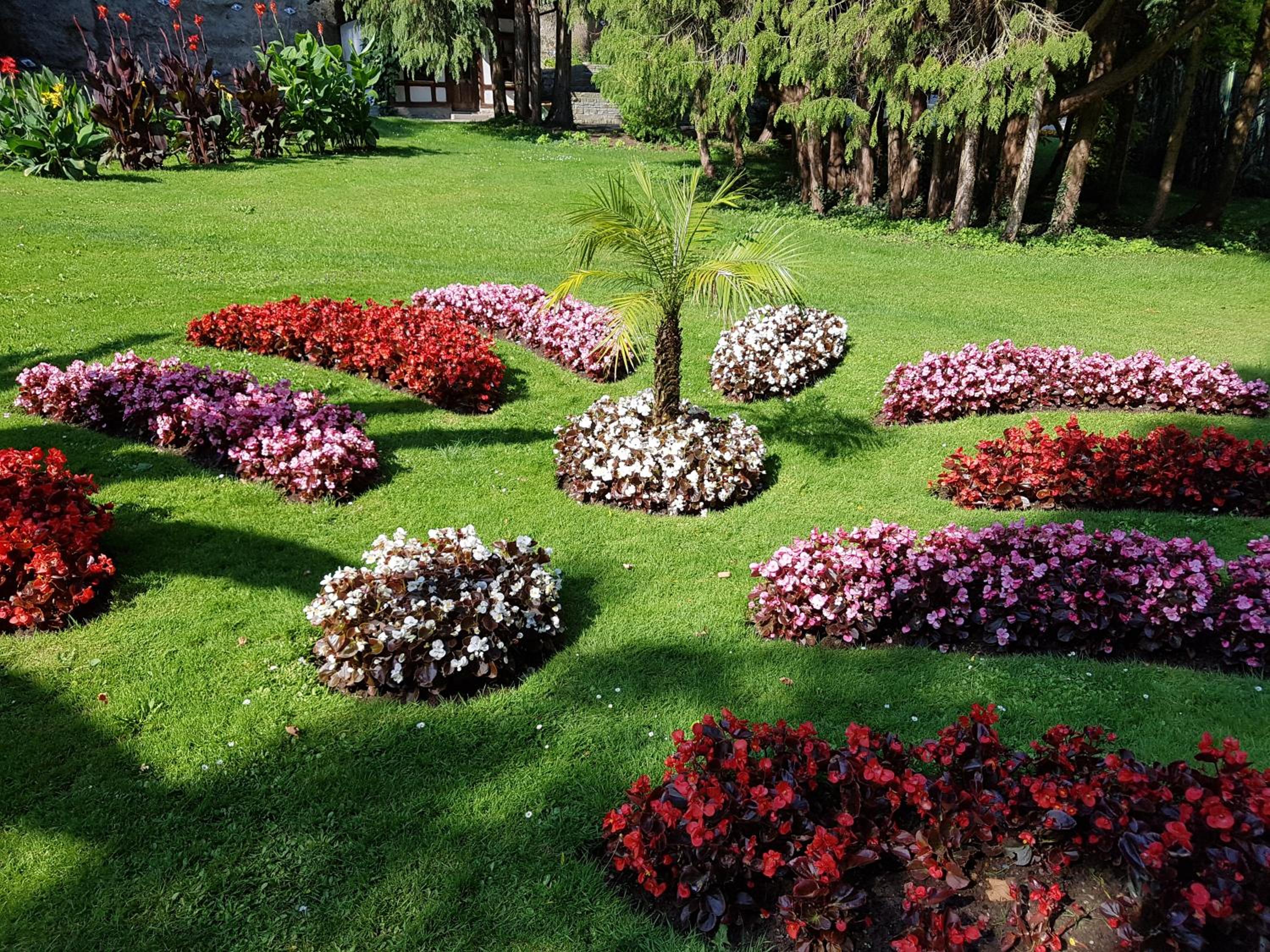 Photo 20