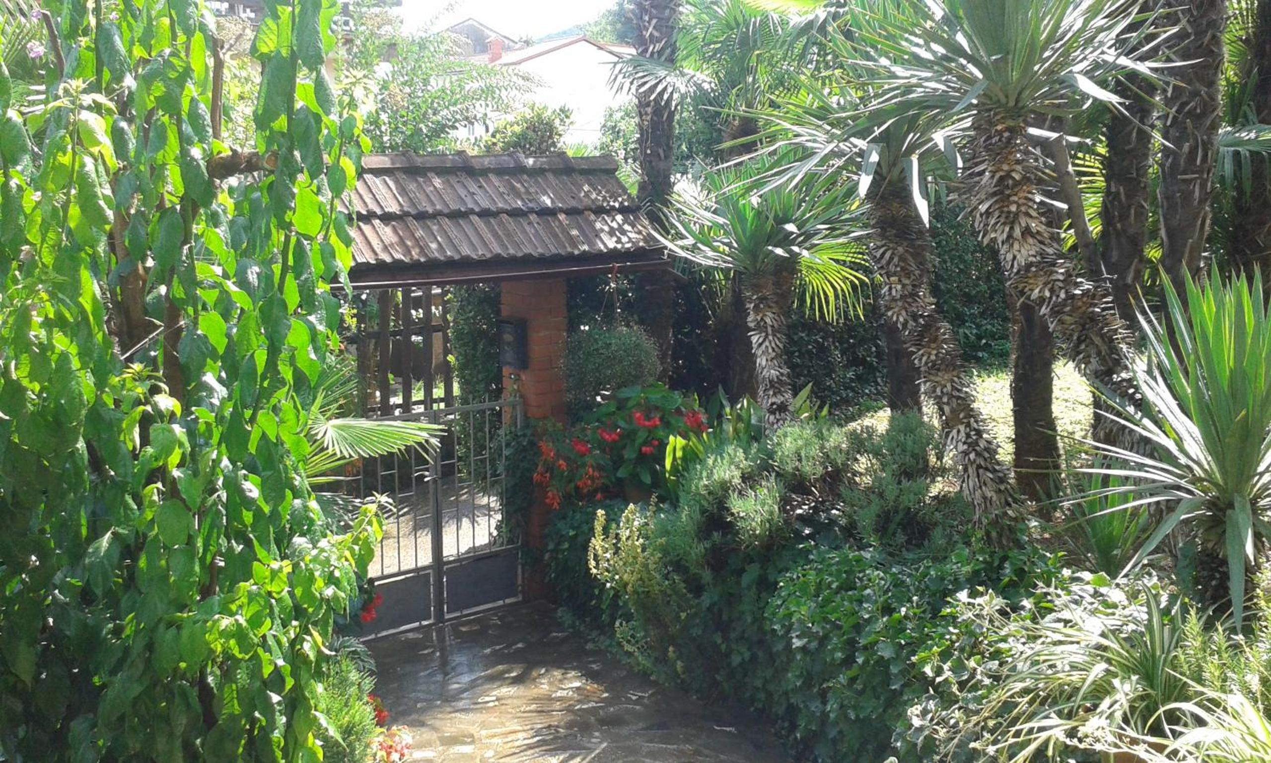 Photo 9