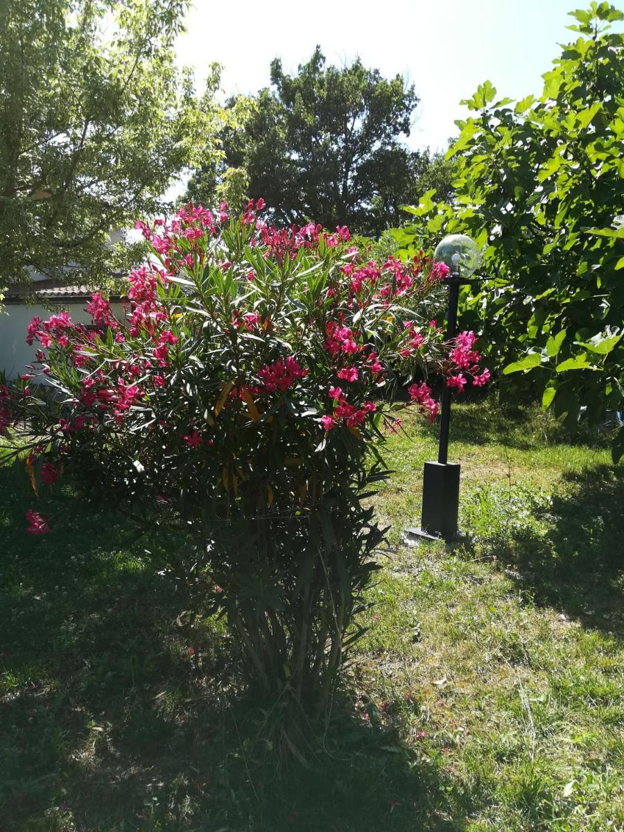 Photo 38
