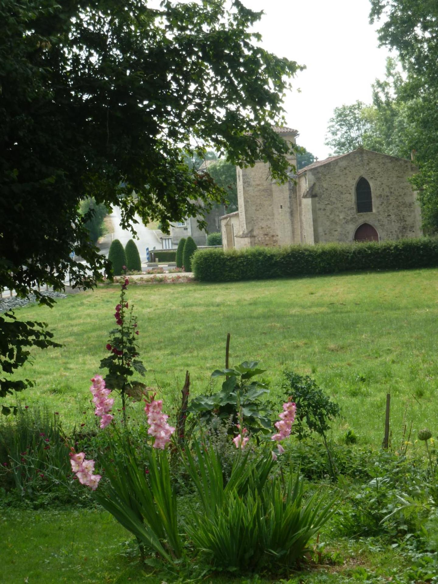 Photo 11