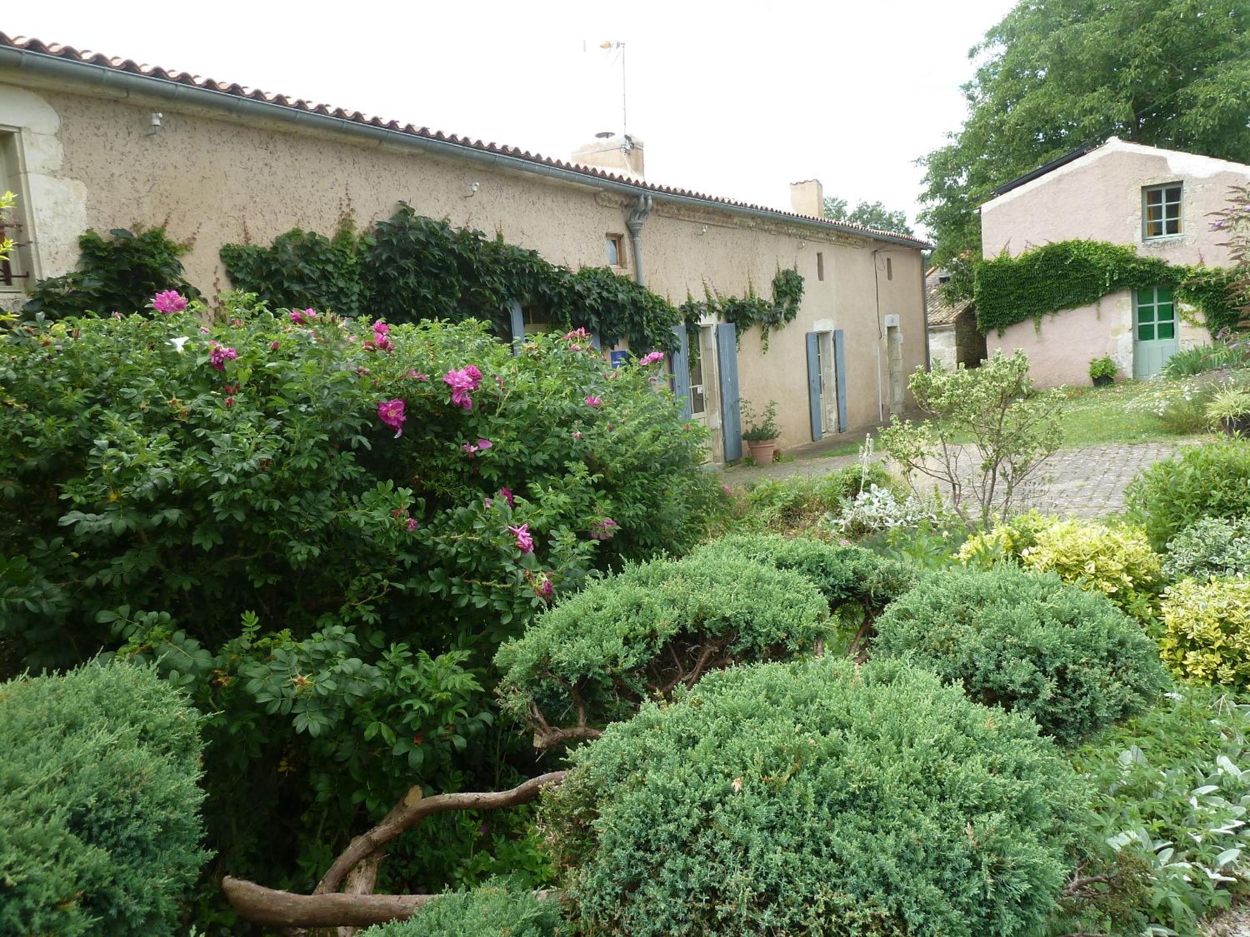 Photo 15