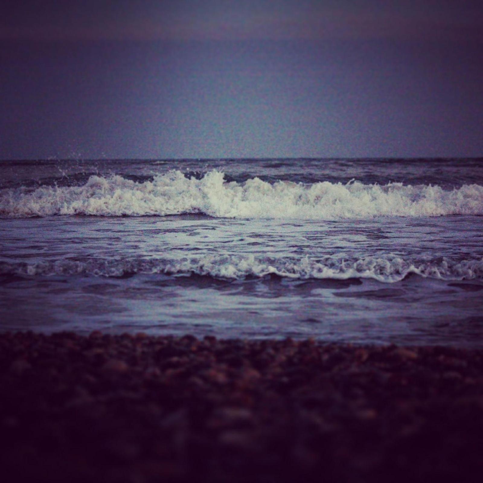 Photo 50