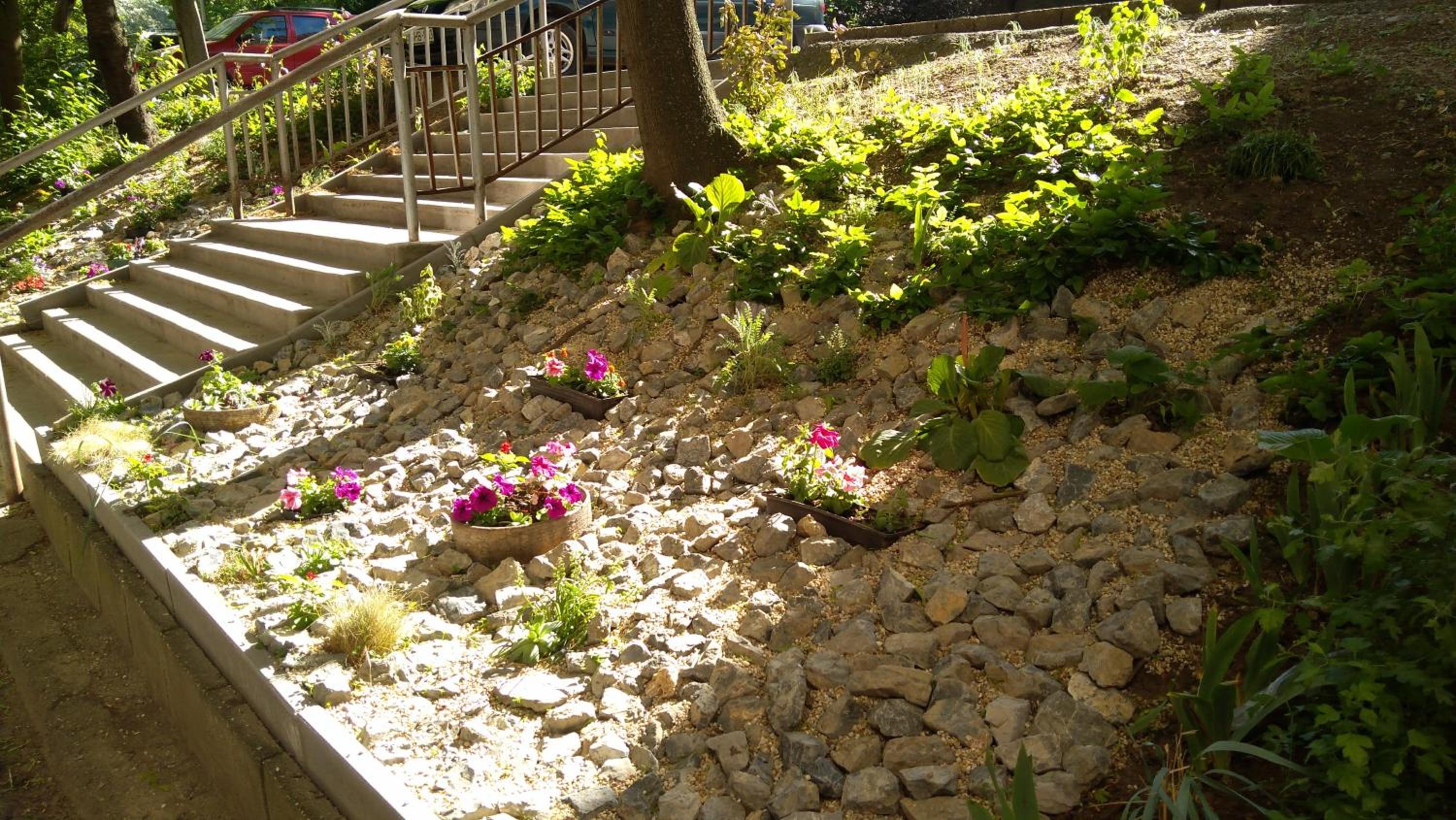 Photo 23