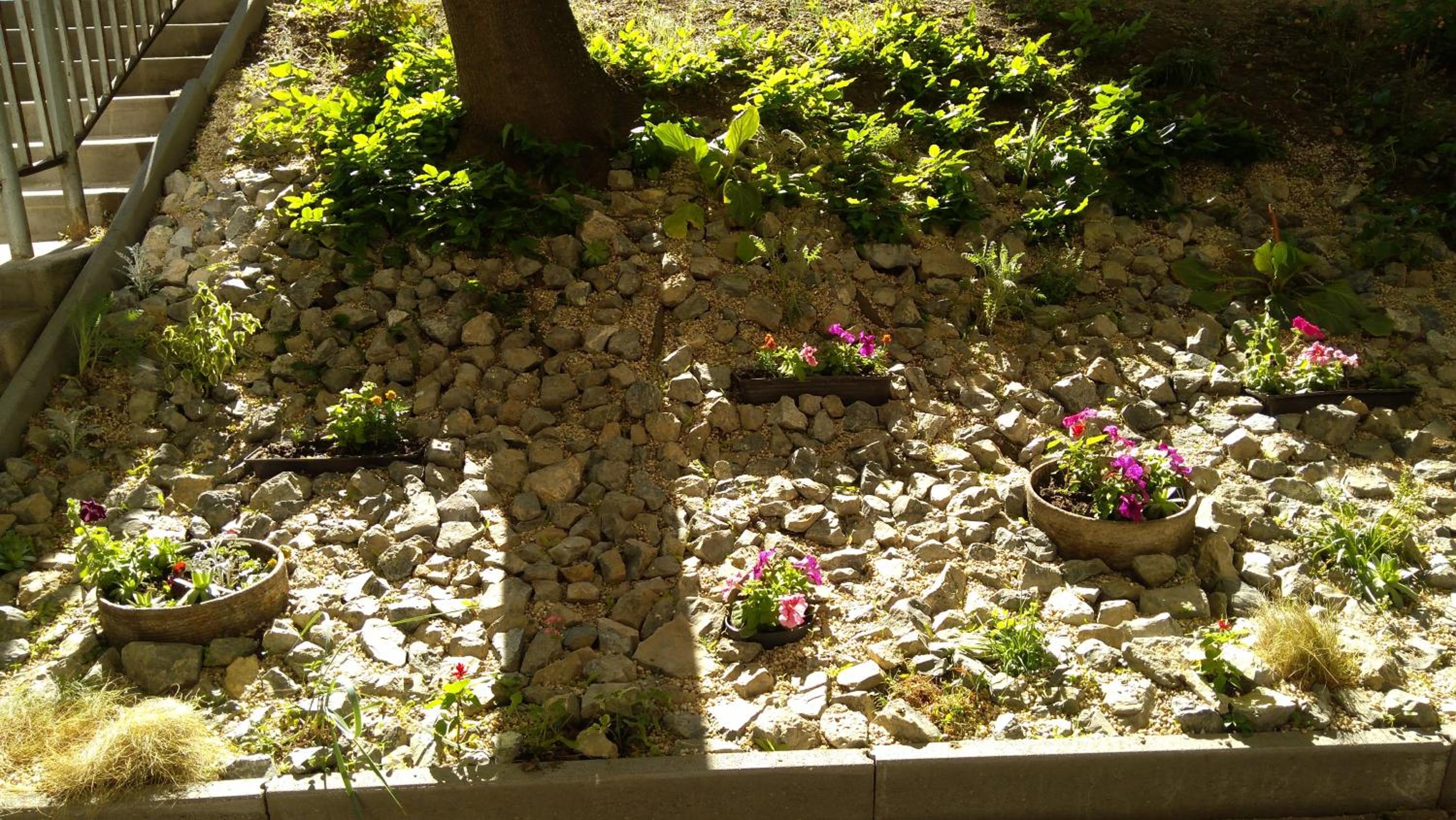 Photo 21