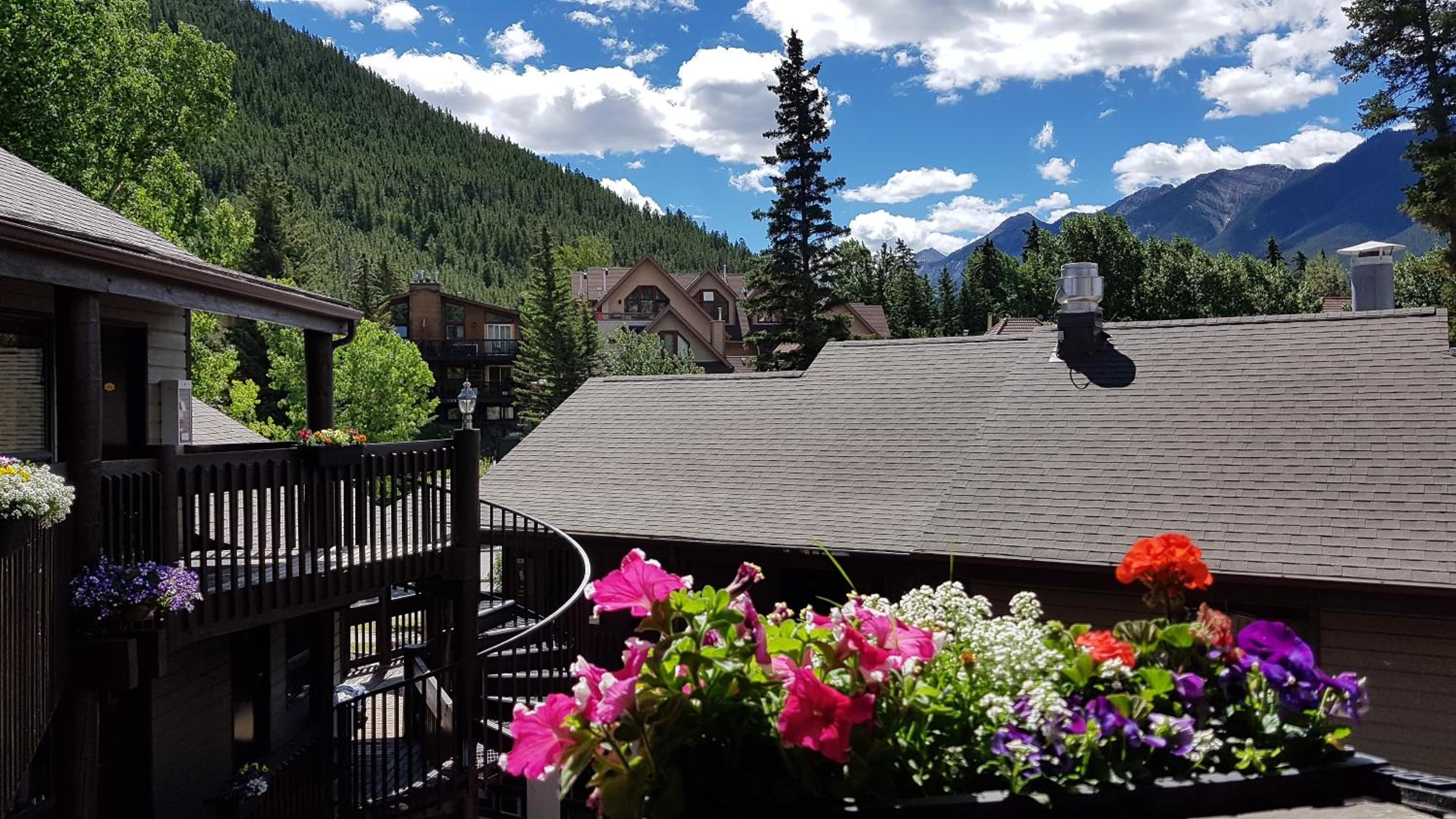Banff International Hostel