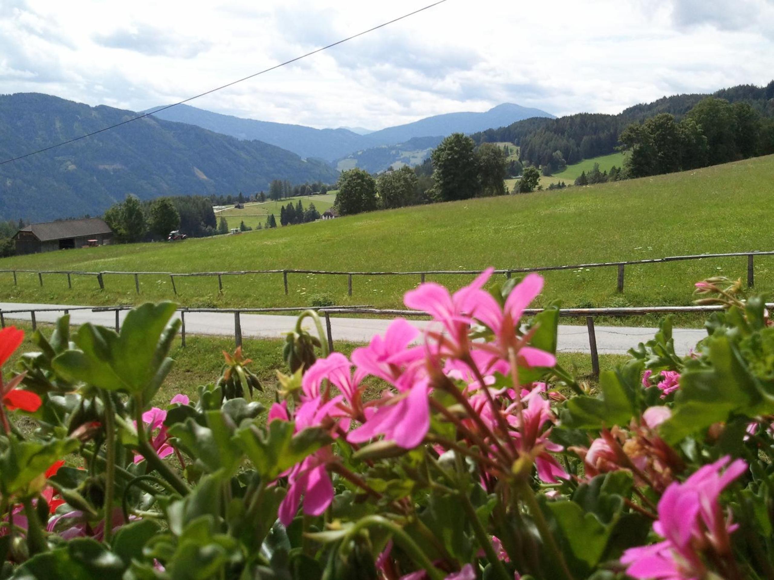 Rettlhof