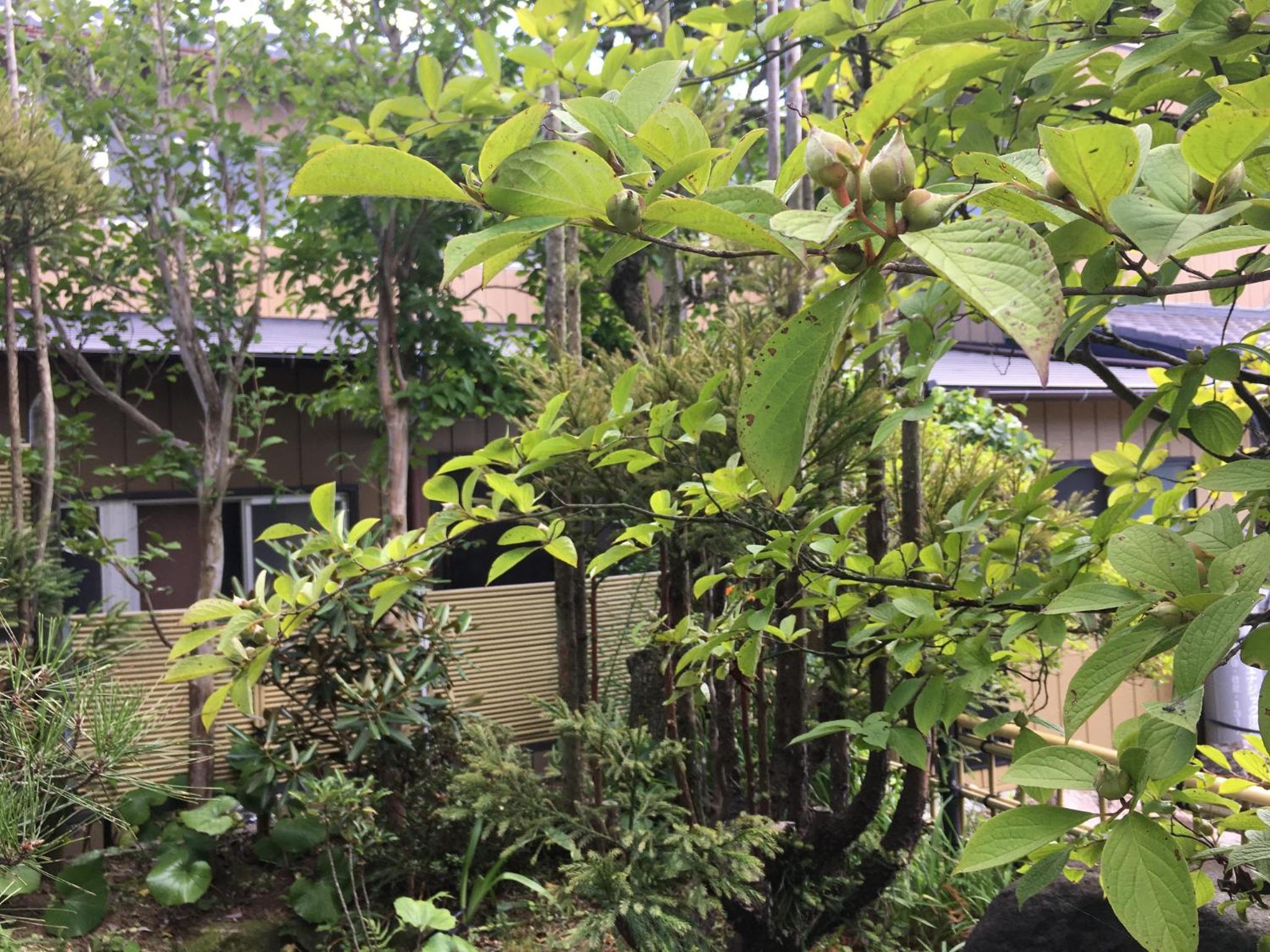 Masugataya Ryokan