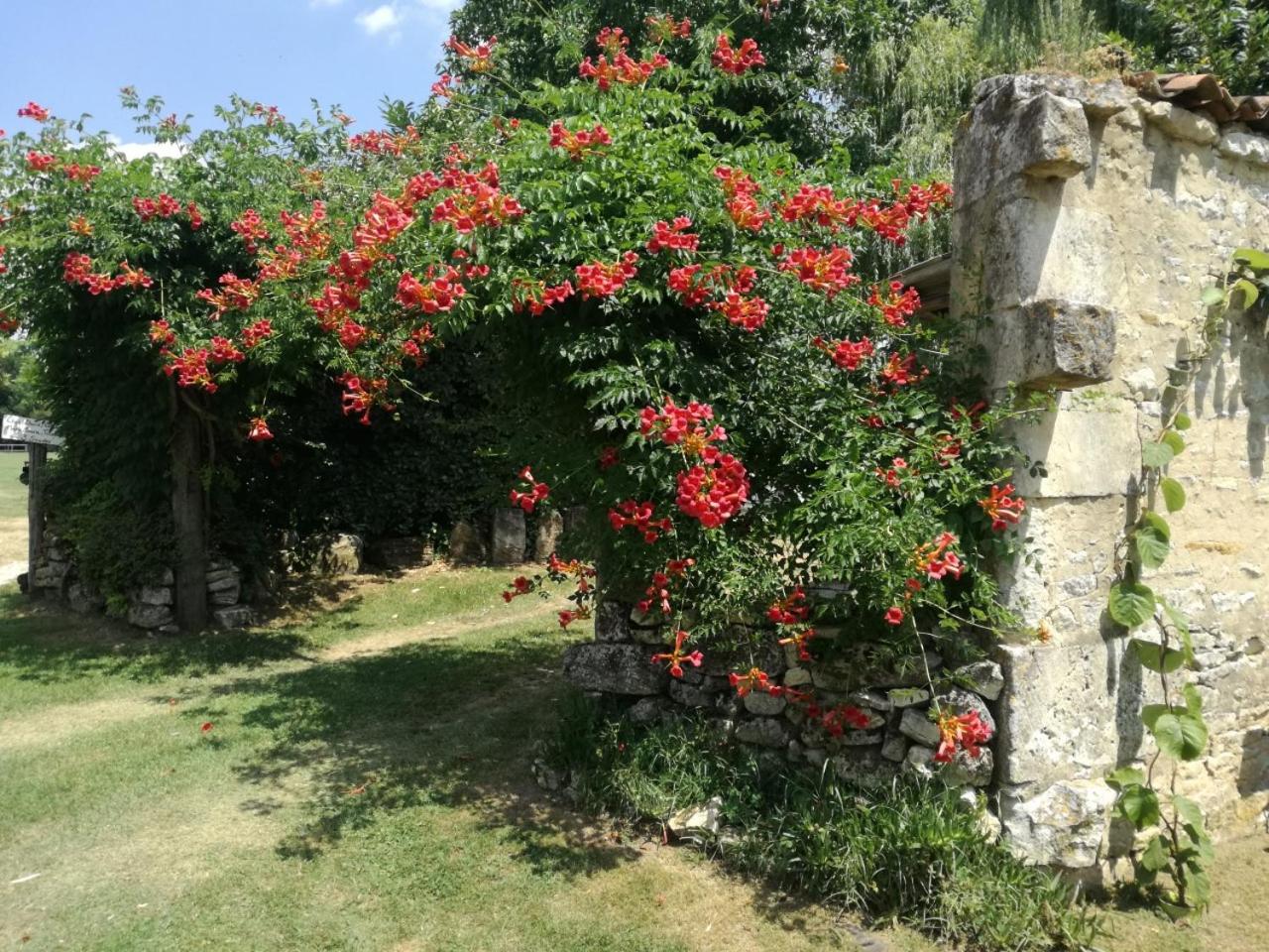 Photo 22