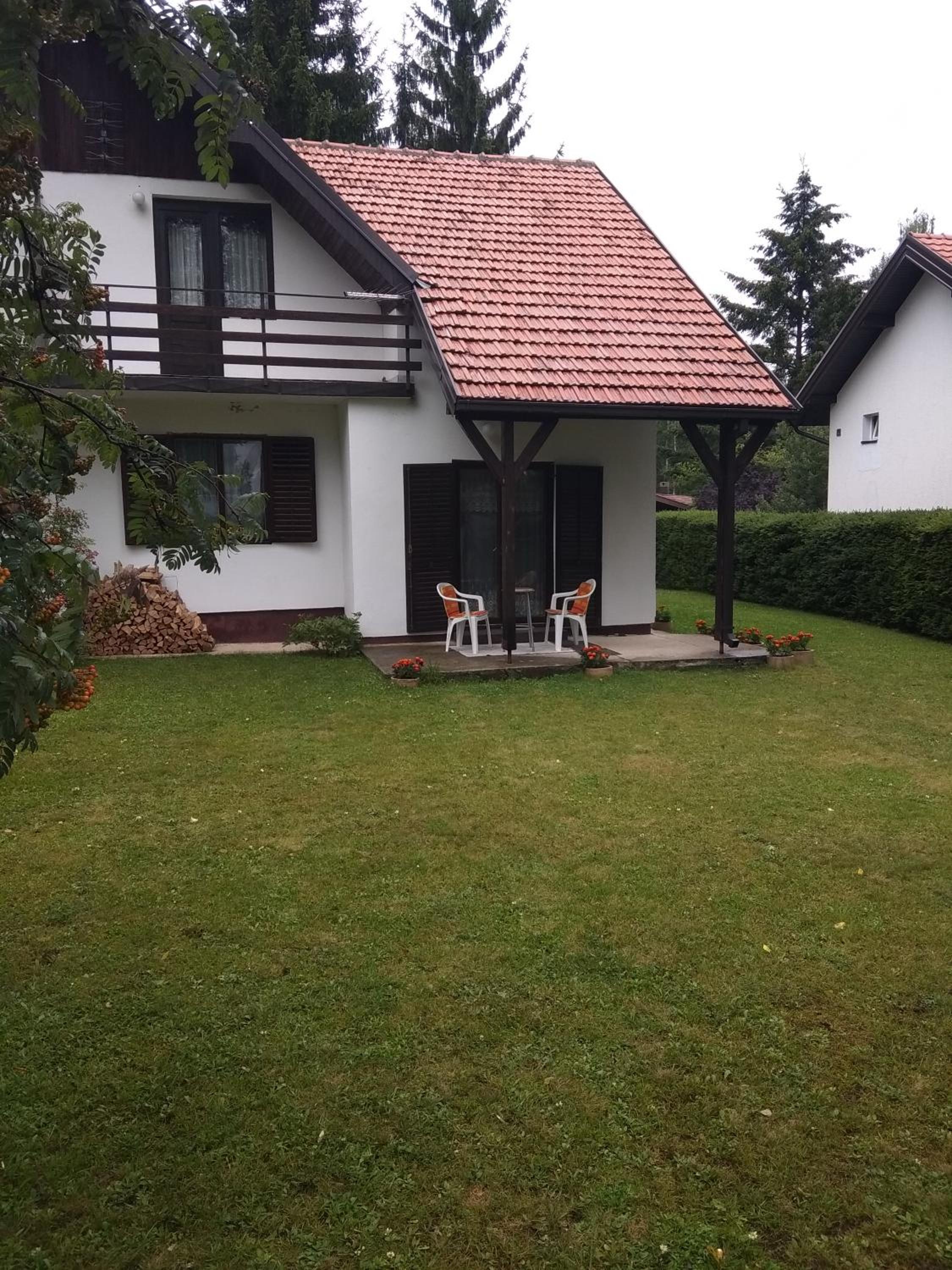 Vila Borovic view 3