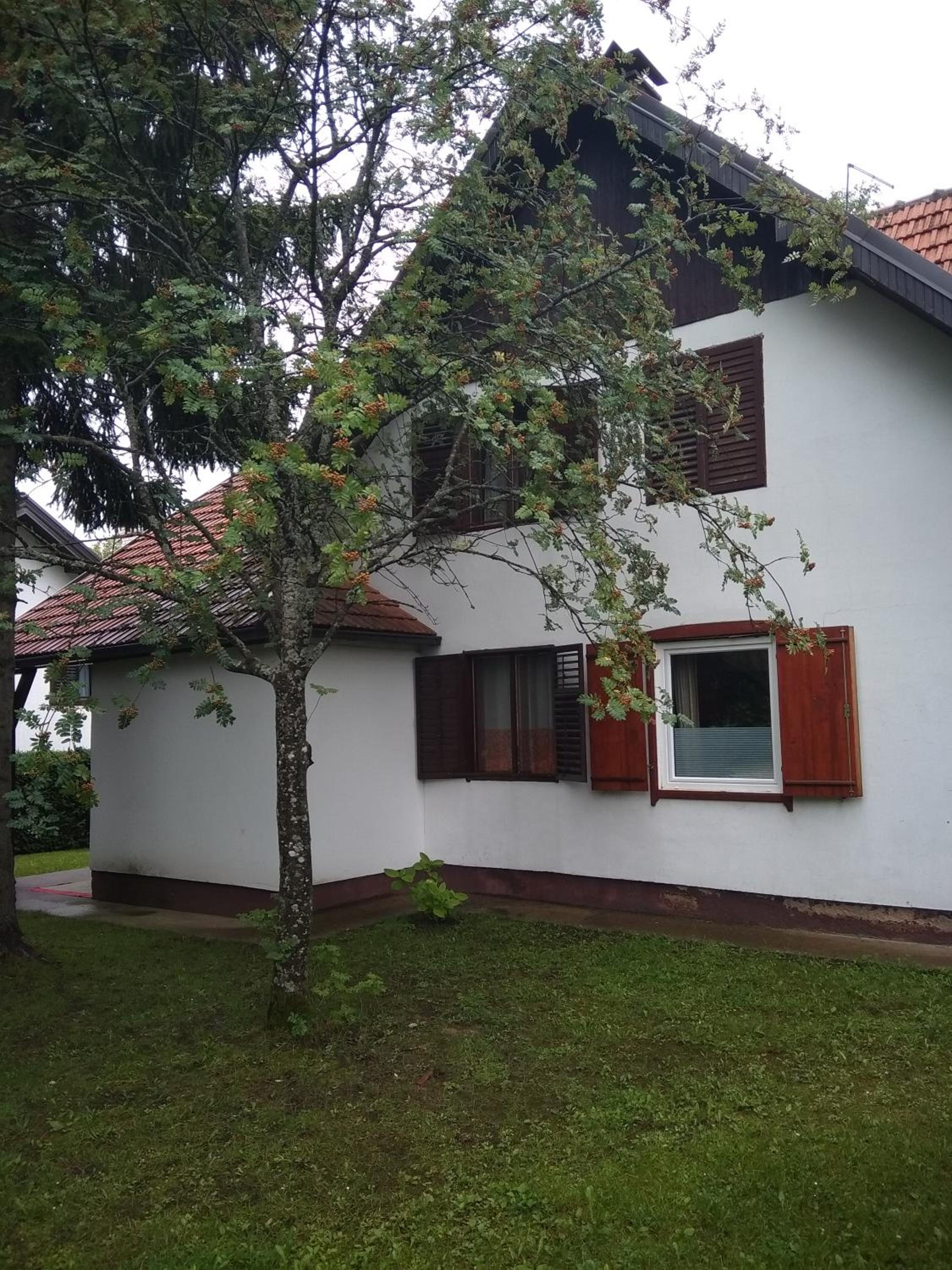 Vila Borovic view 2