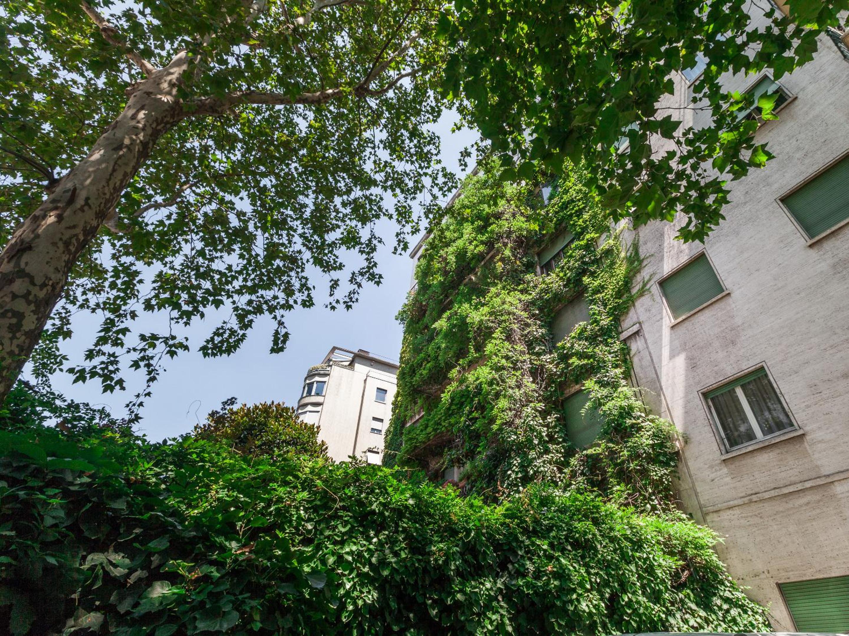 Majno apartment
