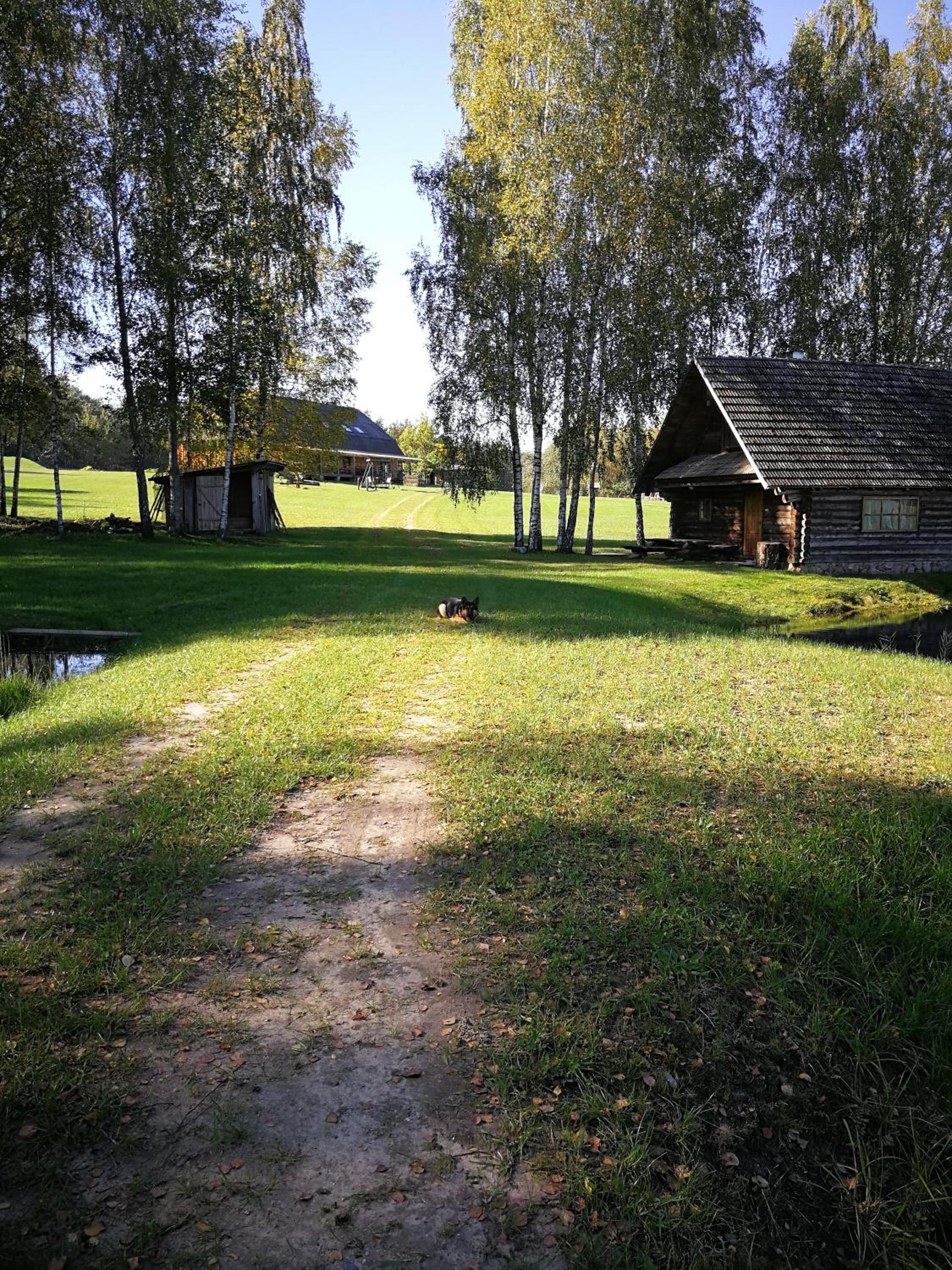Photo 54