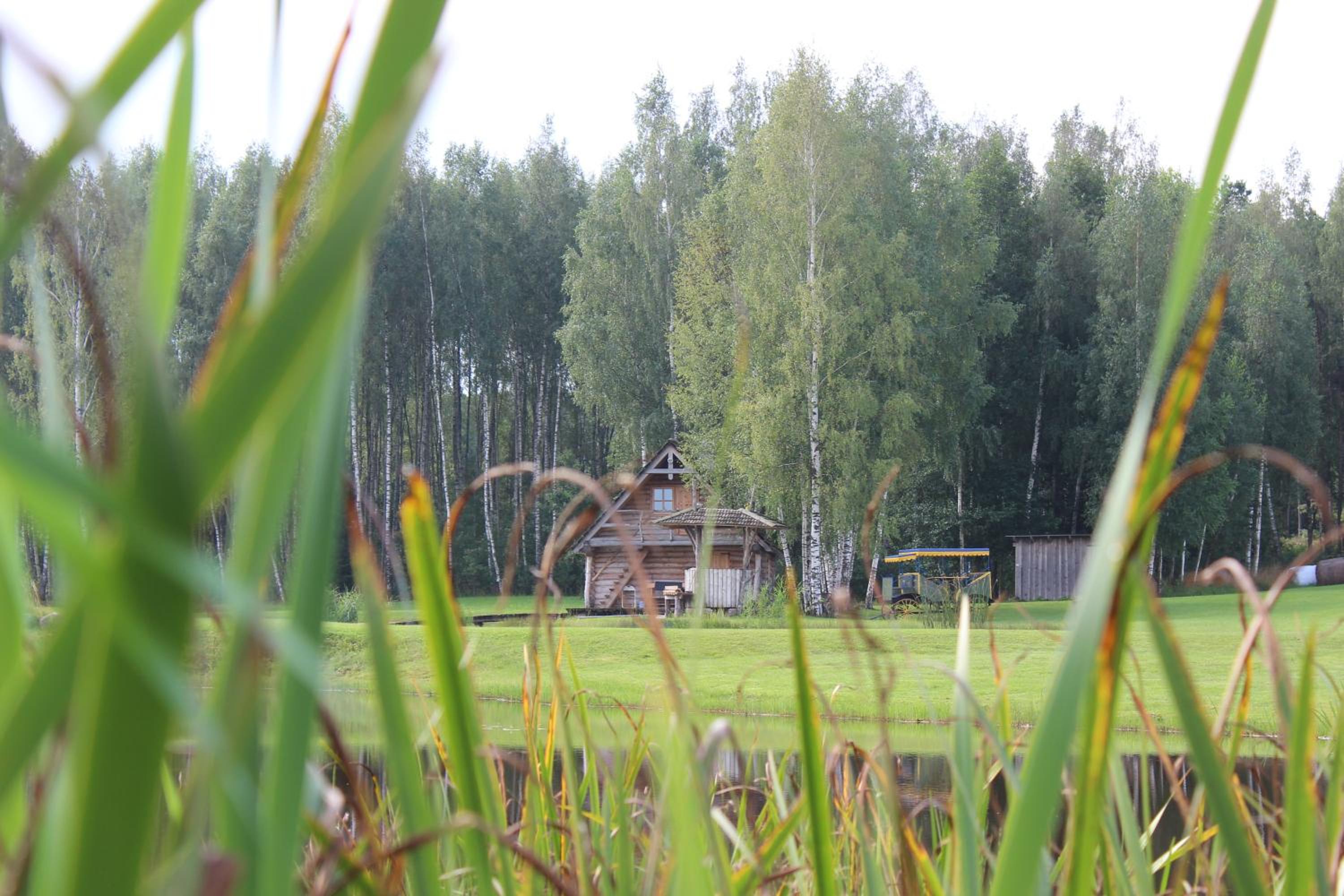 Photo 56
