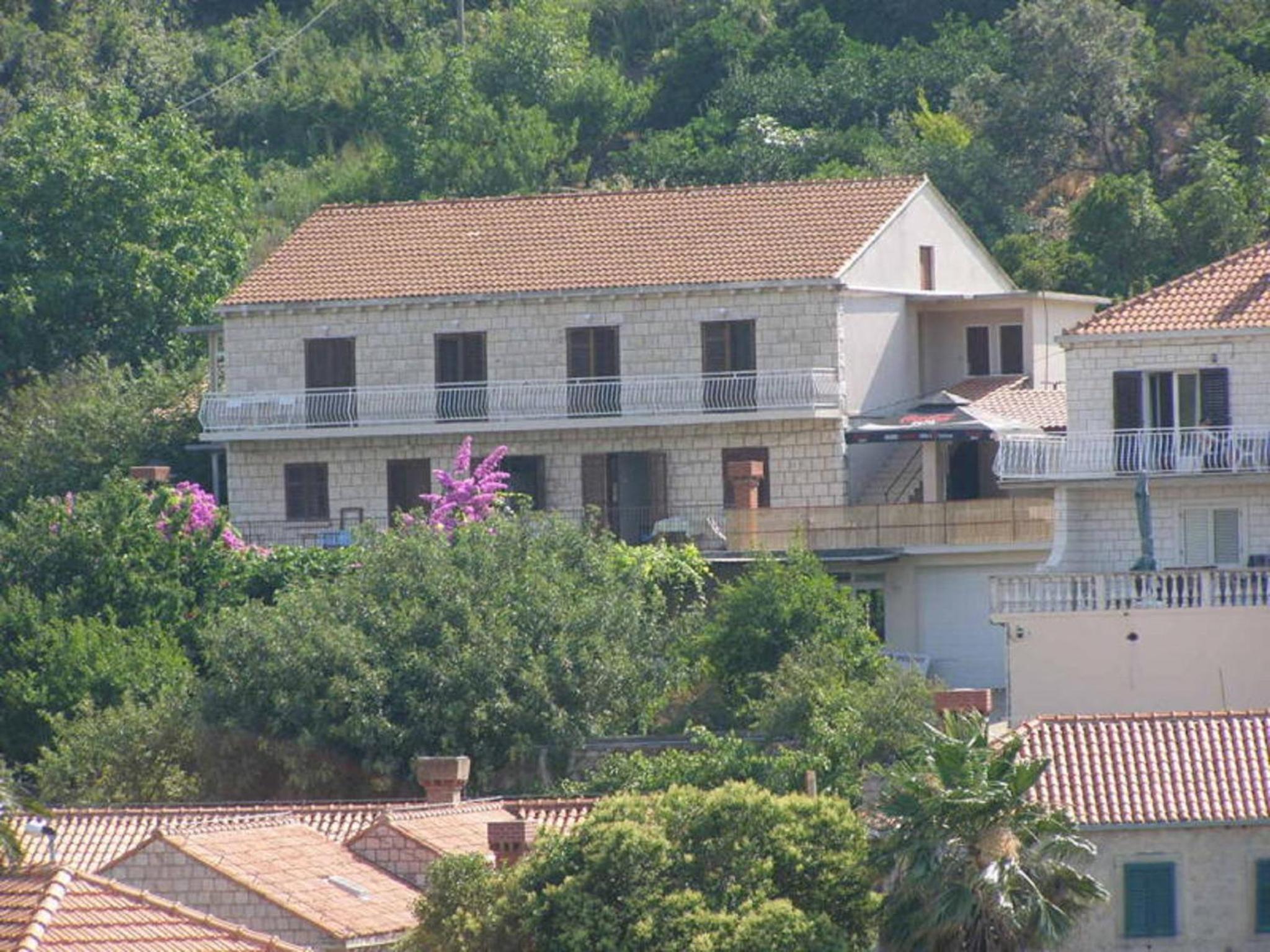 Photo 44