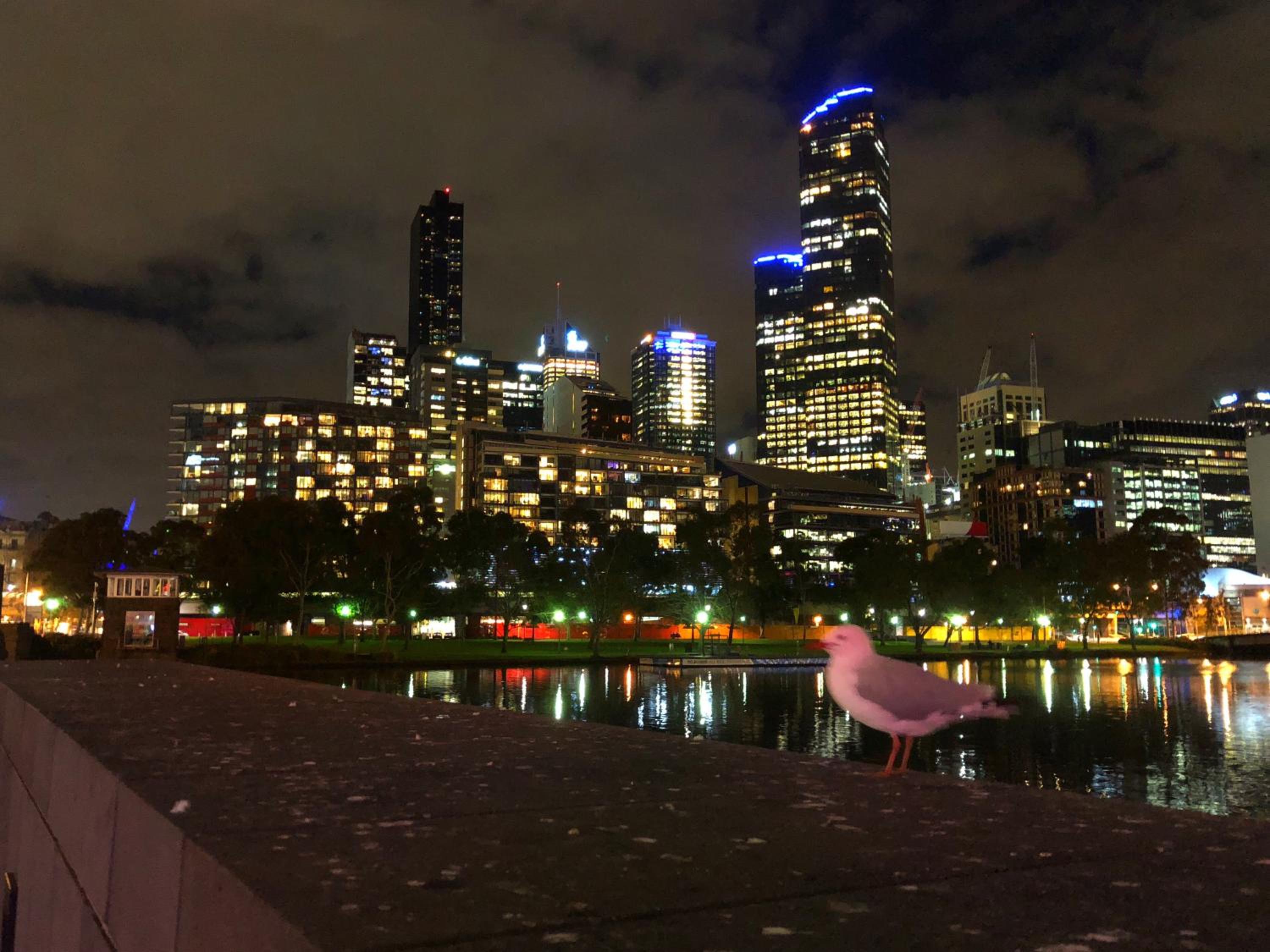 Melbourne River Views