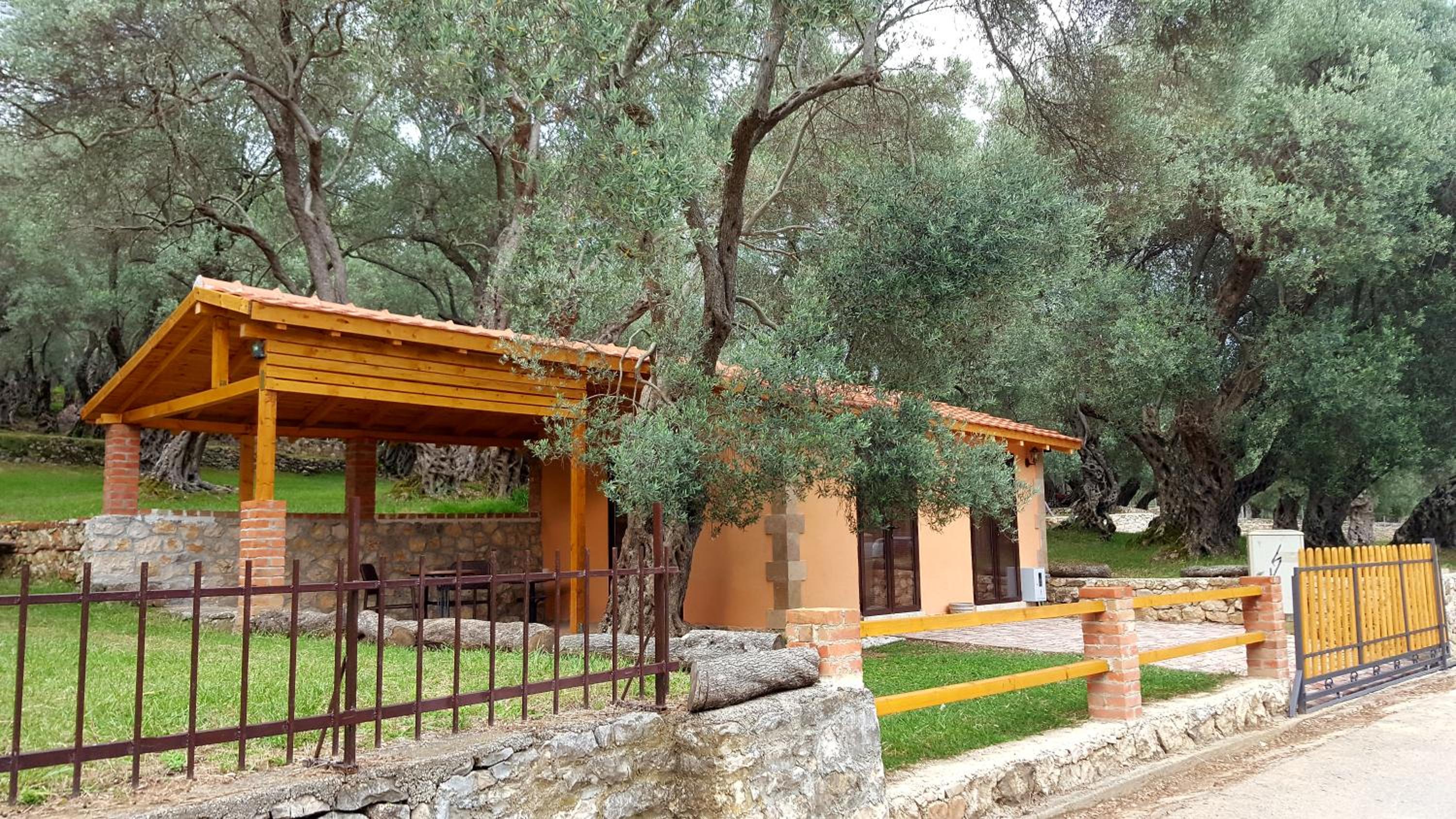 Olive Paradise