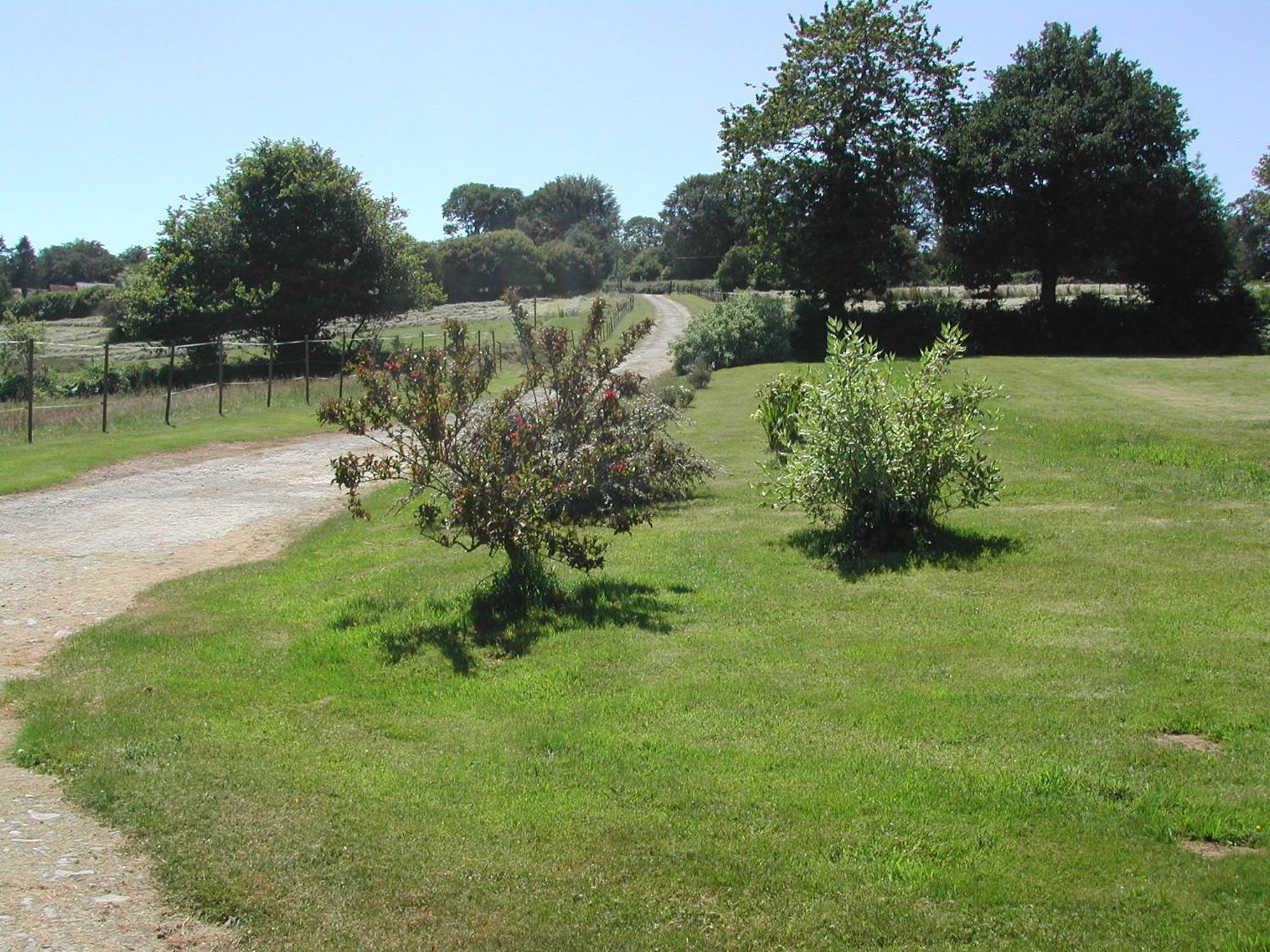 L'Auvraire B&B view 4