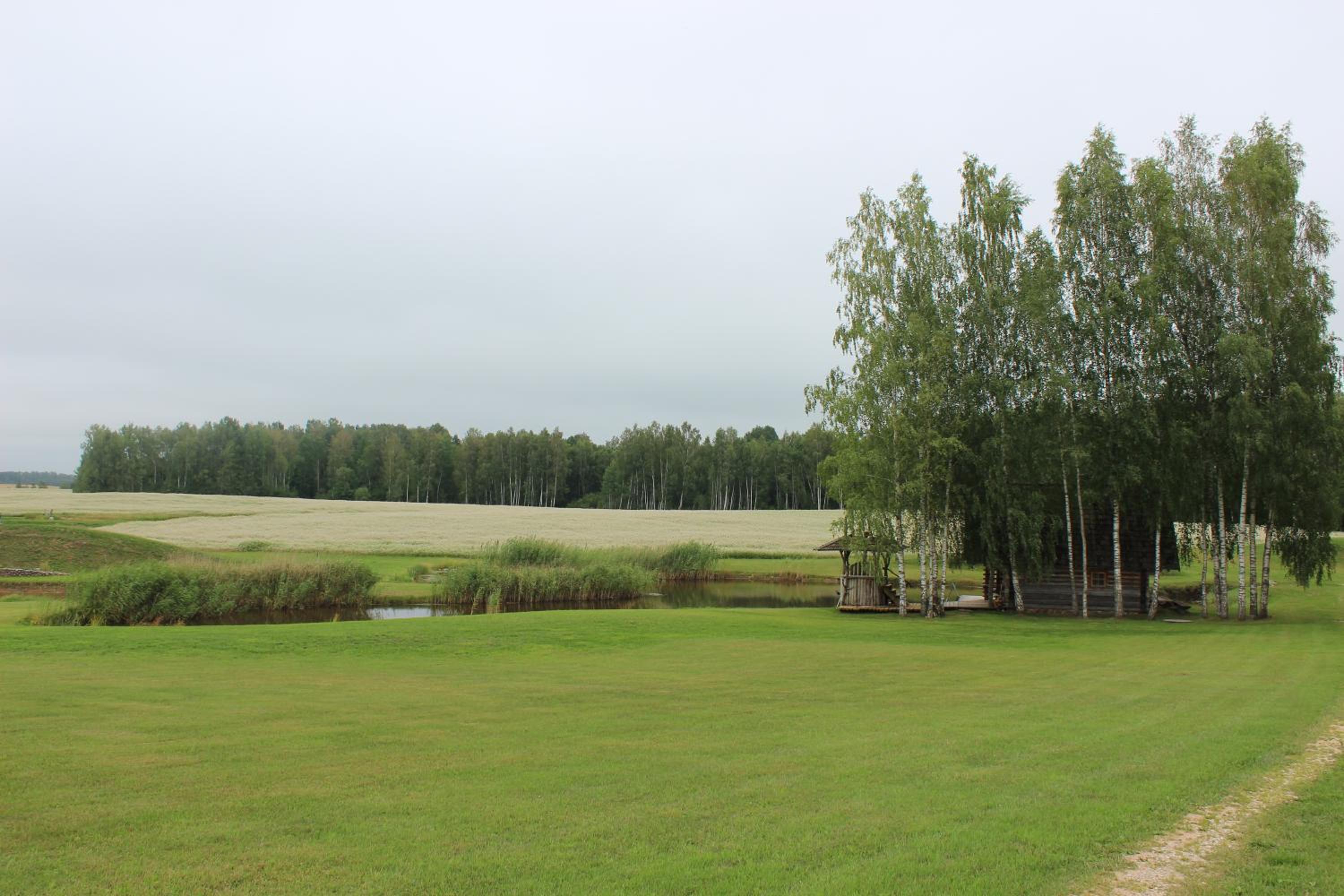 Photo 23