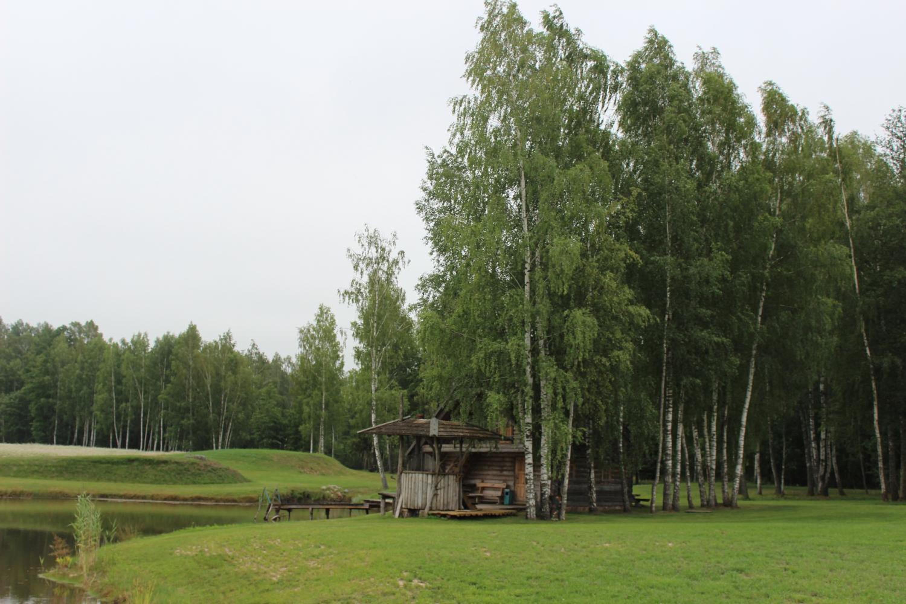 Photo 44