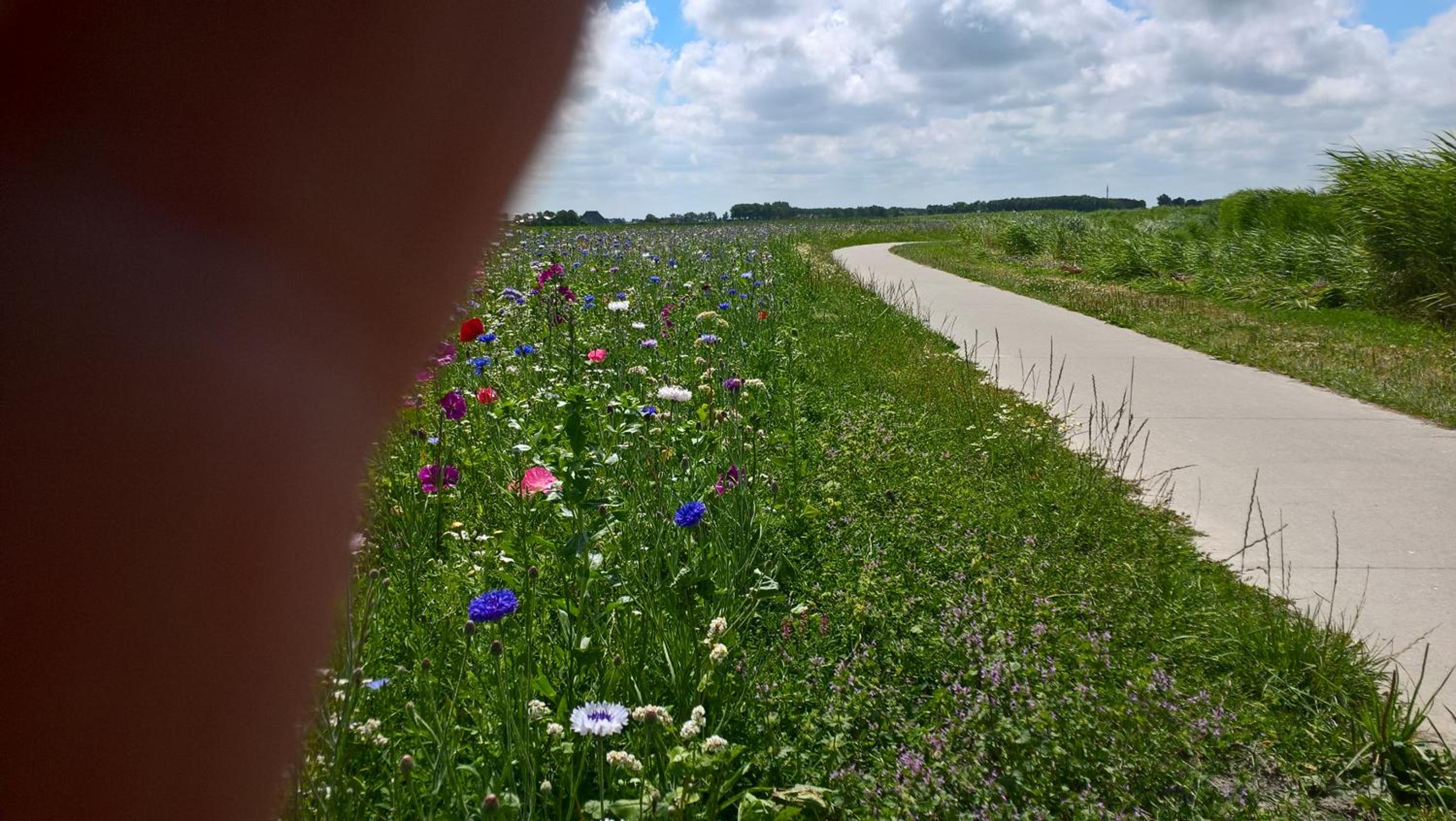 Photo 45