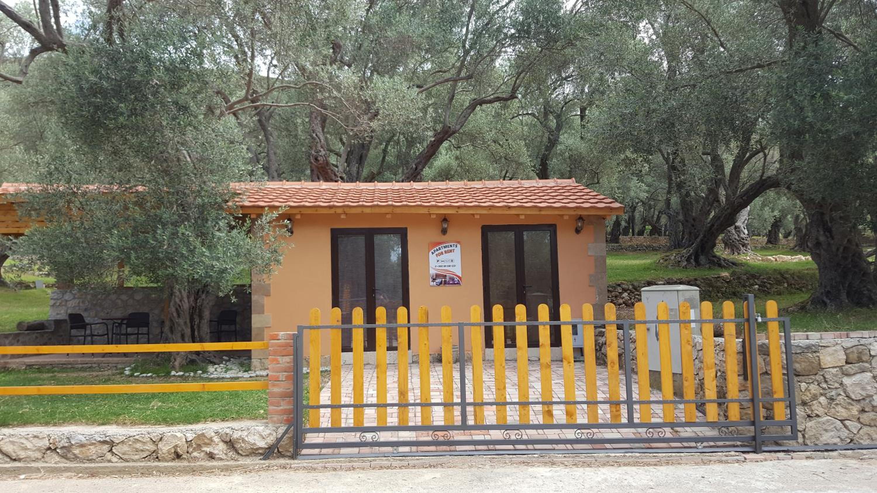 Olive Paradise