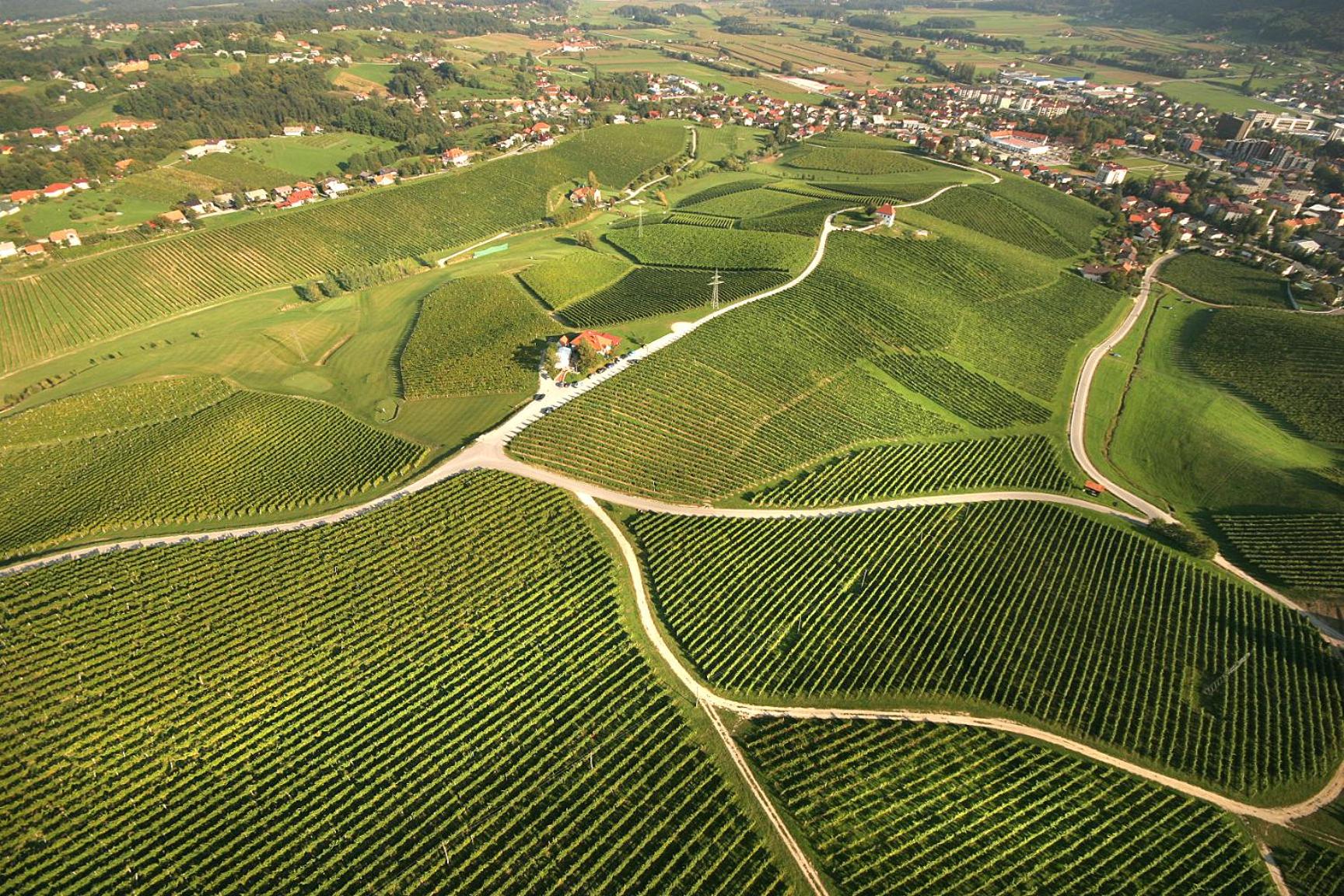 Wine Grower's Mansion Zlati Gric view 3