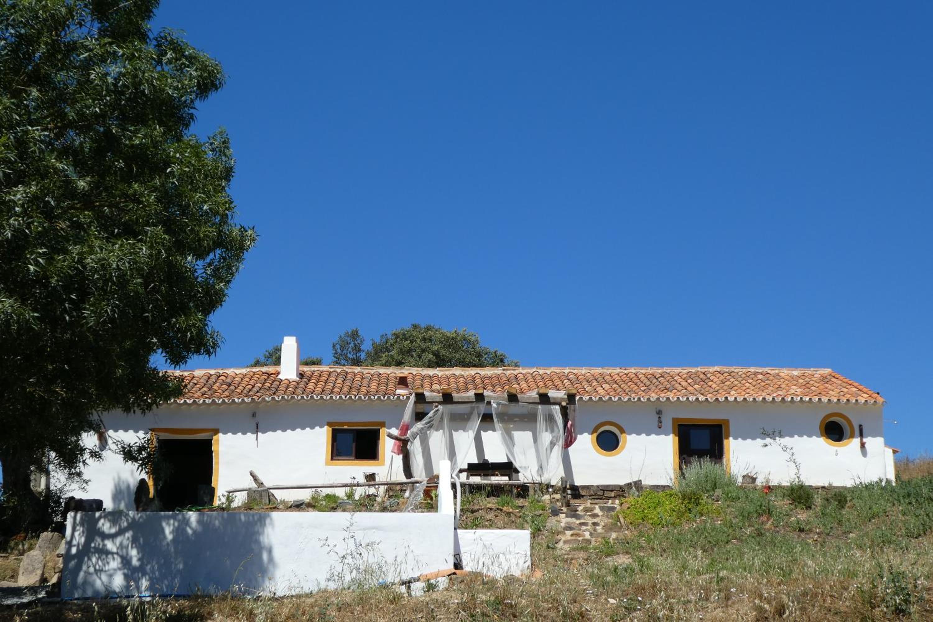 Photo 48