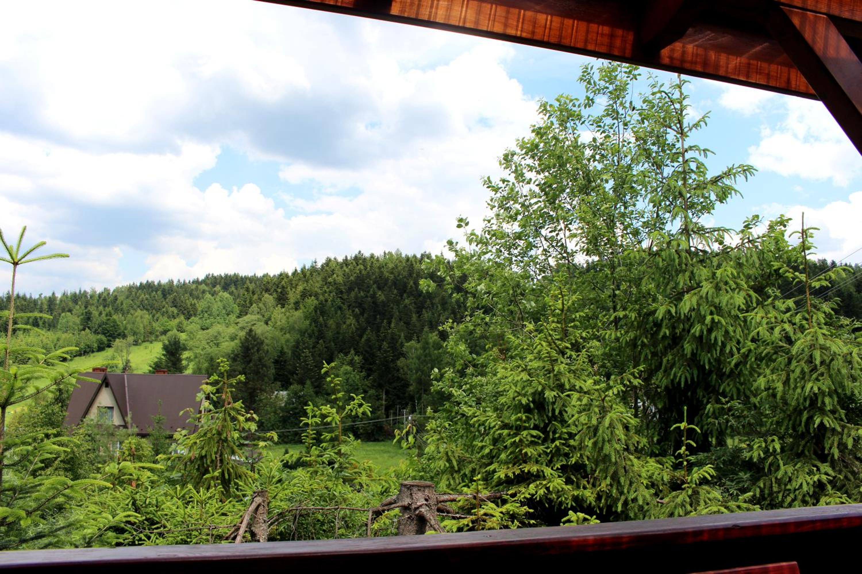 Zawoja Chaty Górskie D2, photo 28