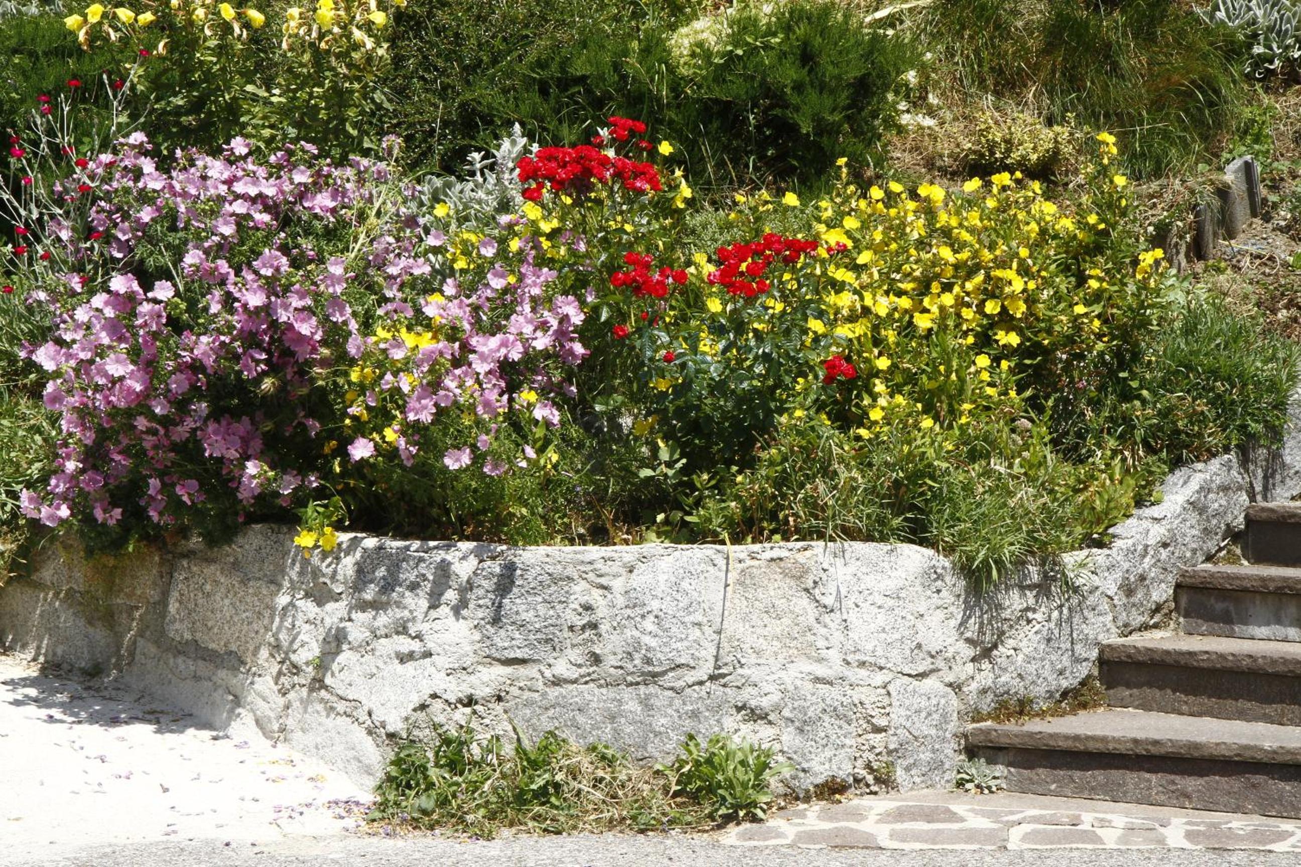 Photo 41