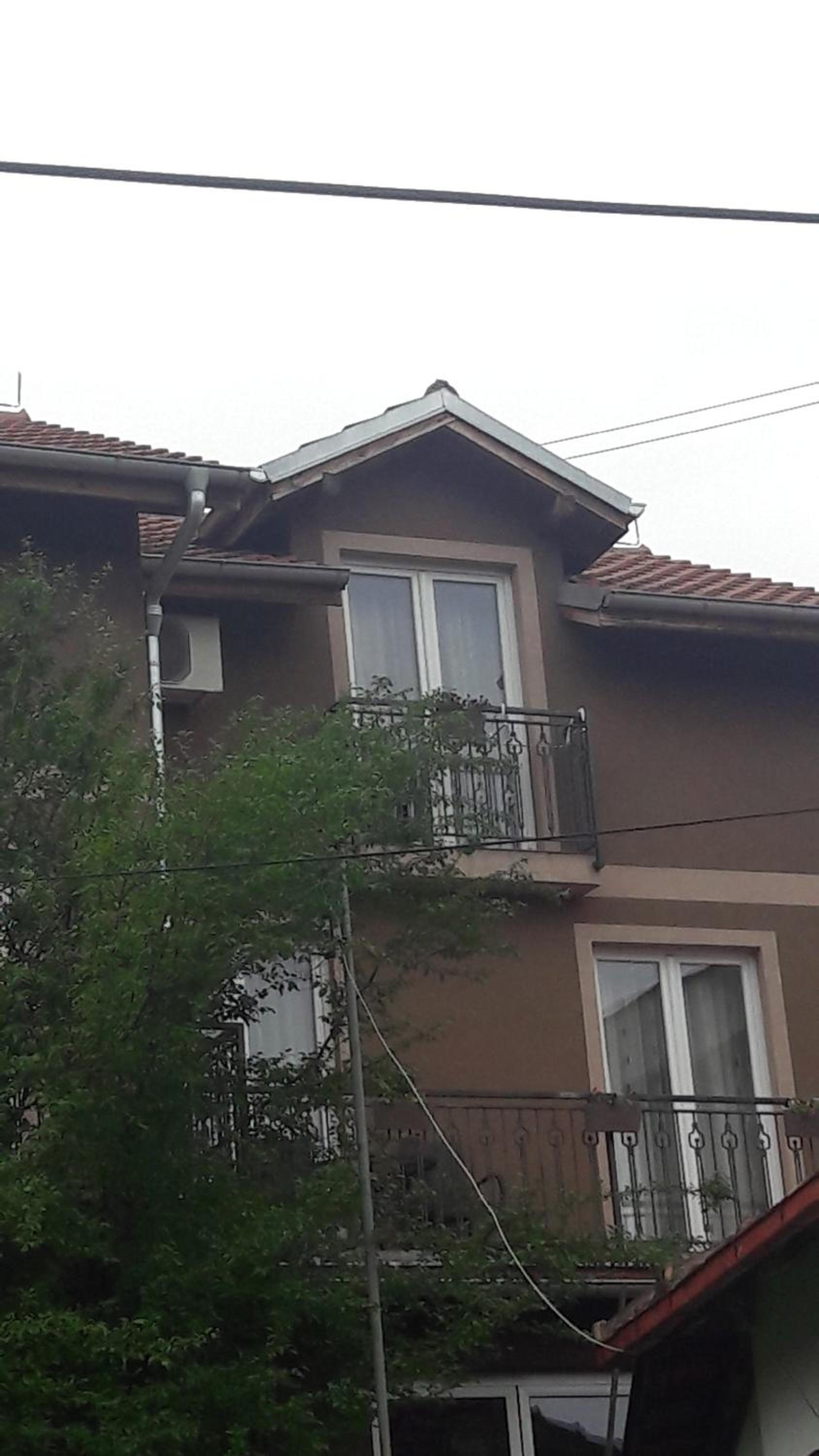 Photo 41