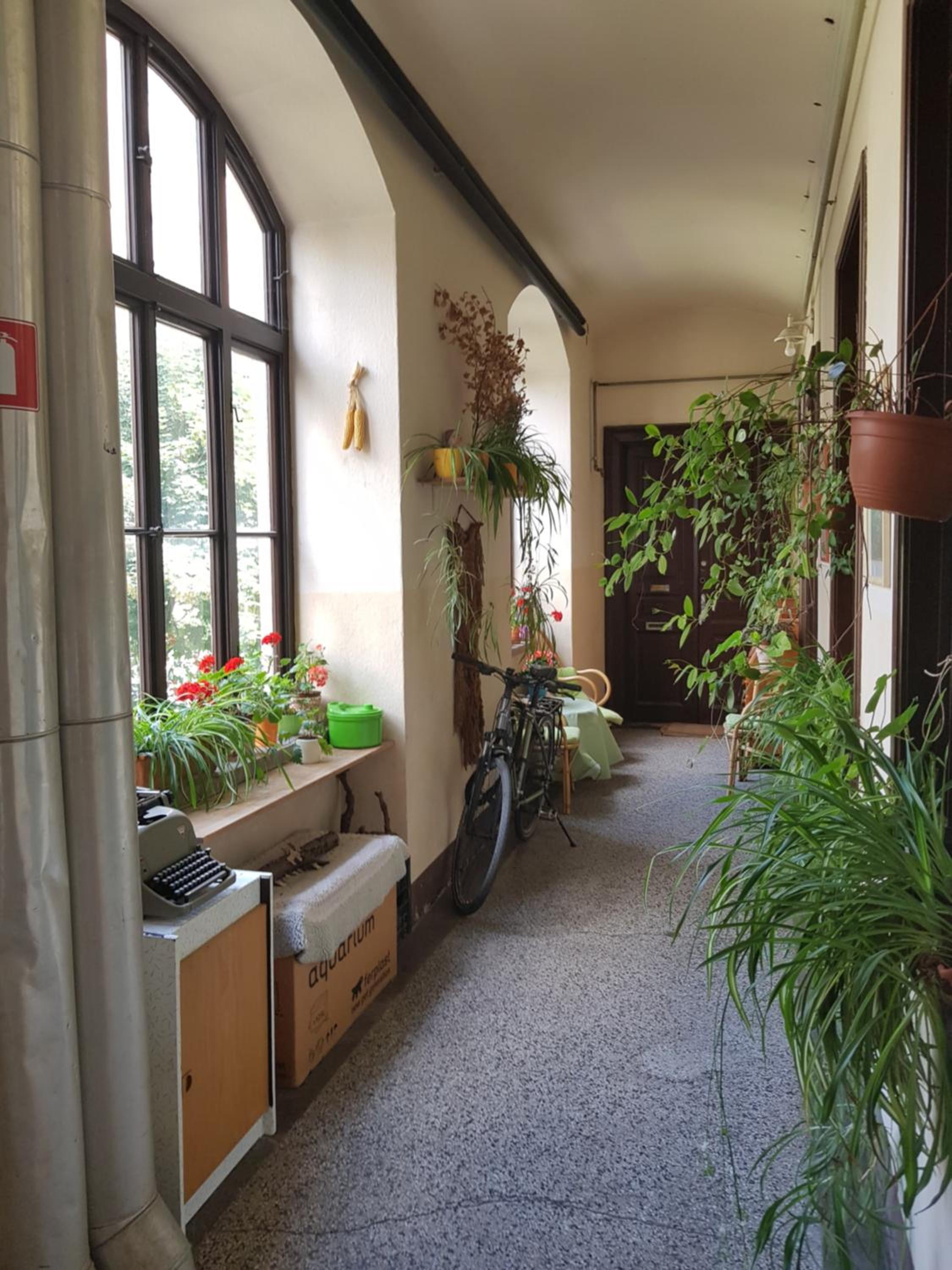 Cosy Ljubljana Loft view 5