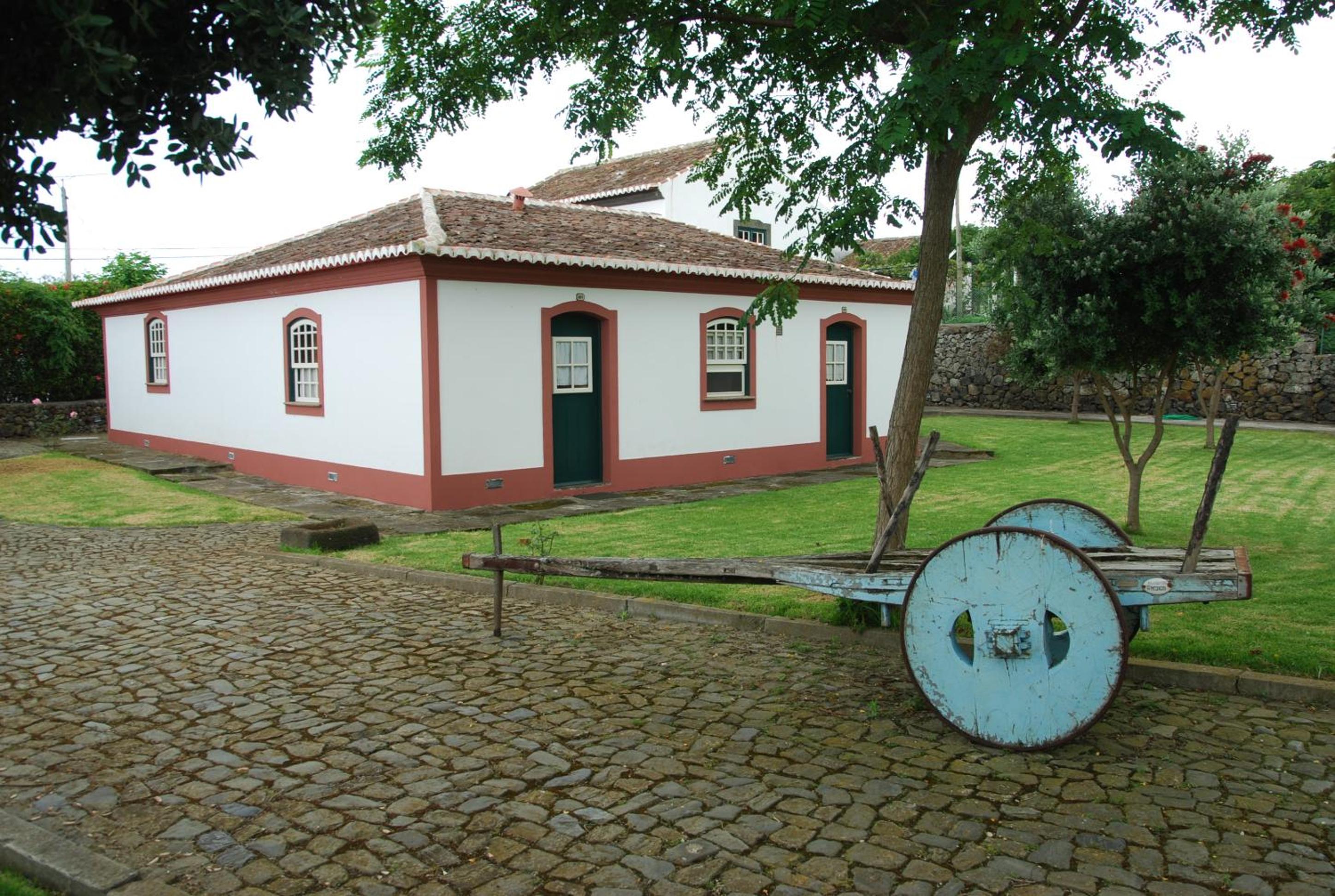 Quinta dos Figos "5 Trevos GOLD" view 2