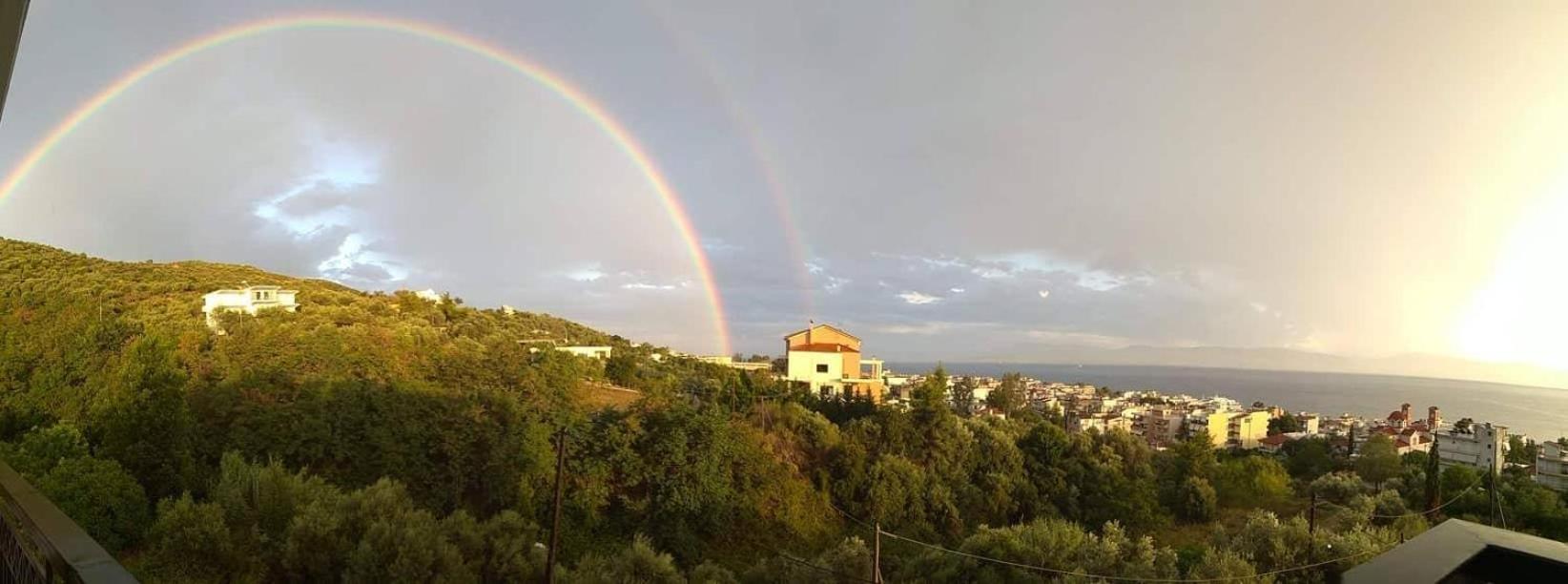 Natura Studios view 4