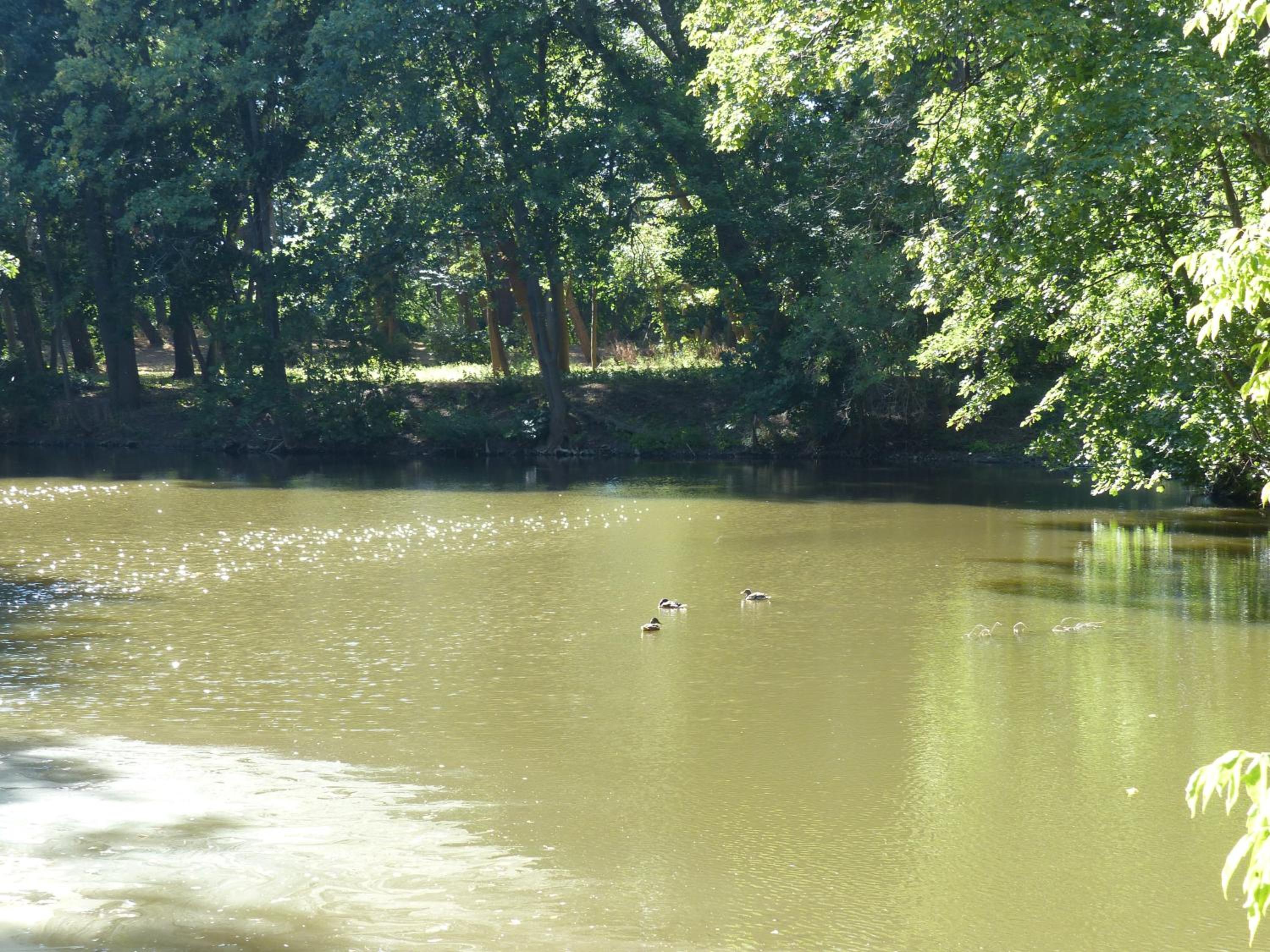 Photo 61