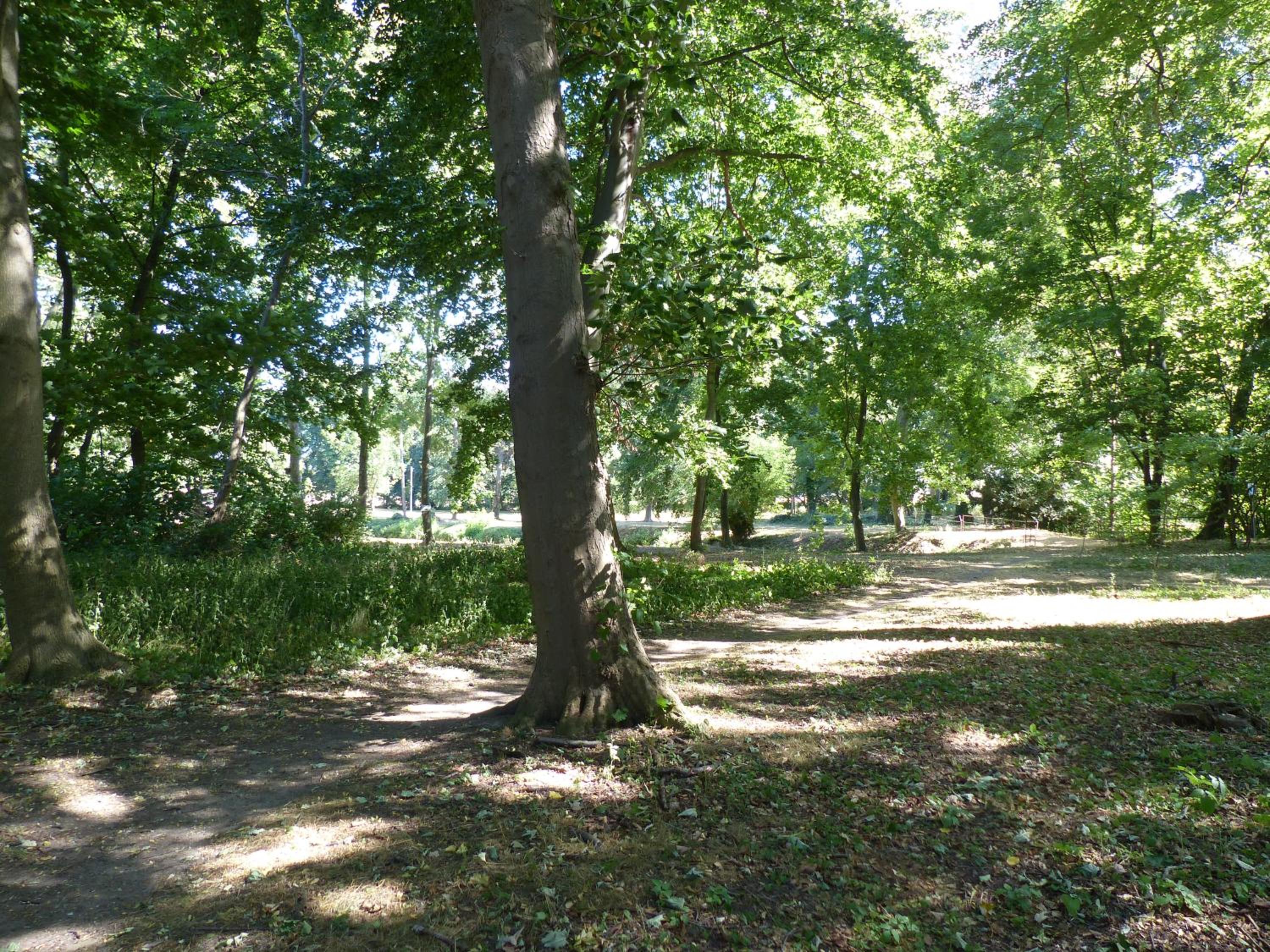 Photo 18
