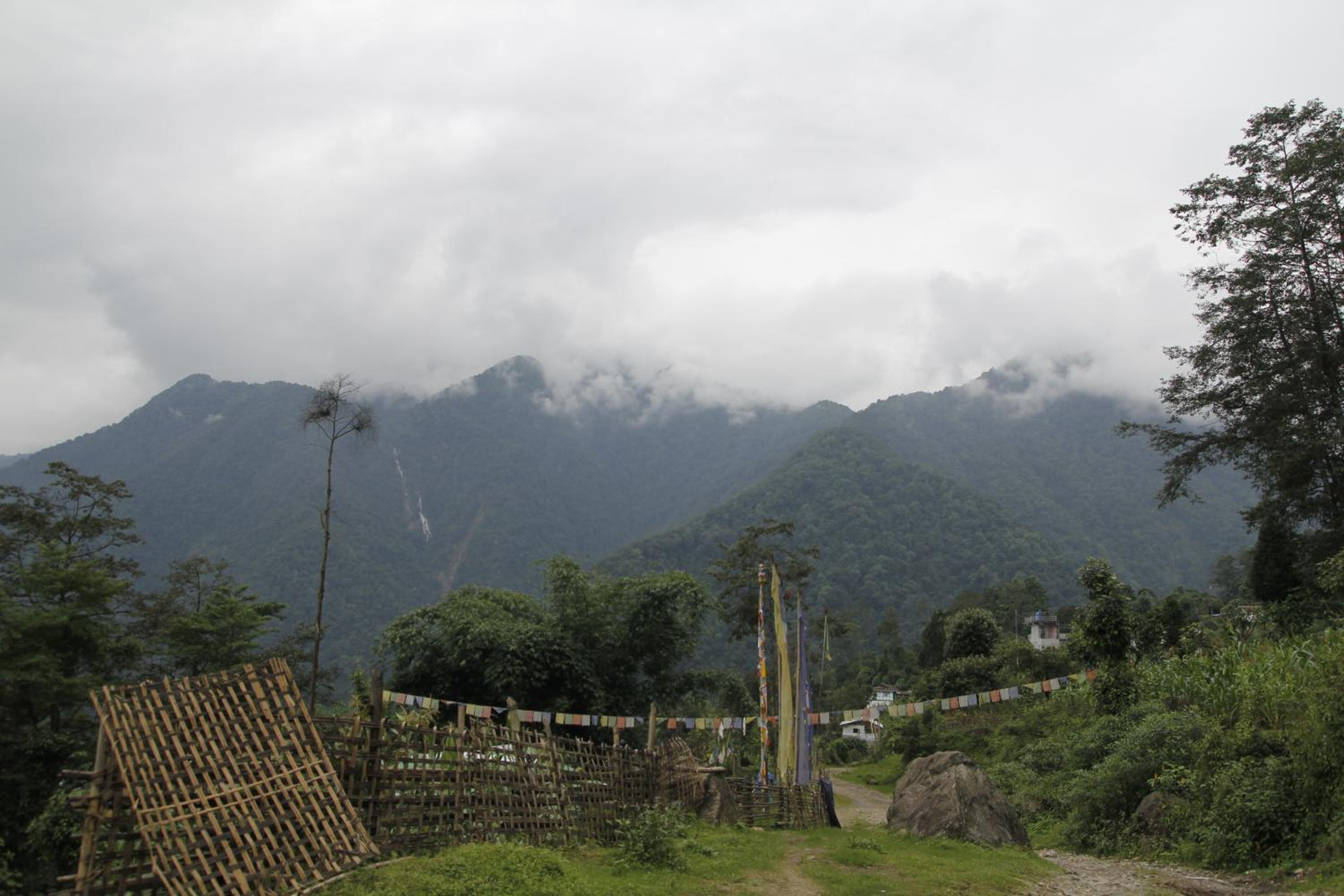 Vamoose Chungdah Homestay view 3